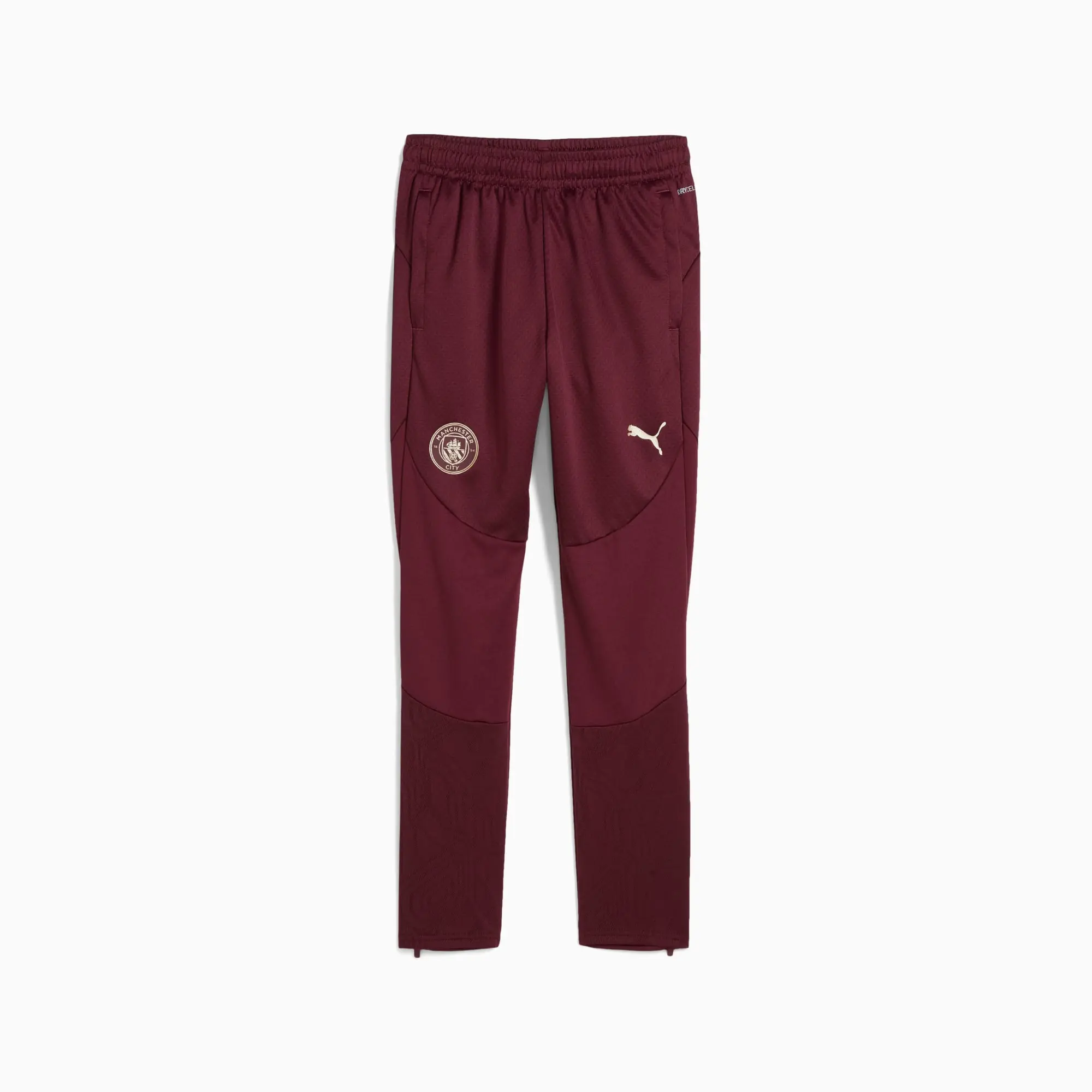 PUMA Manchester City Training Pants Youth, Dark Jasper