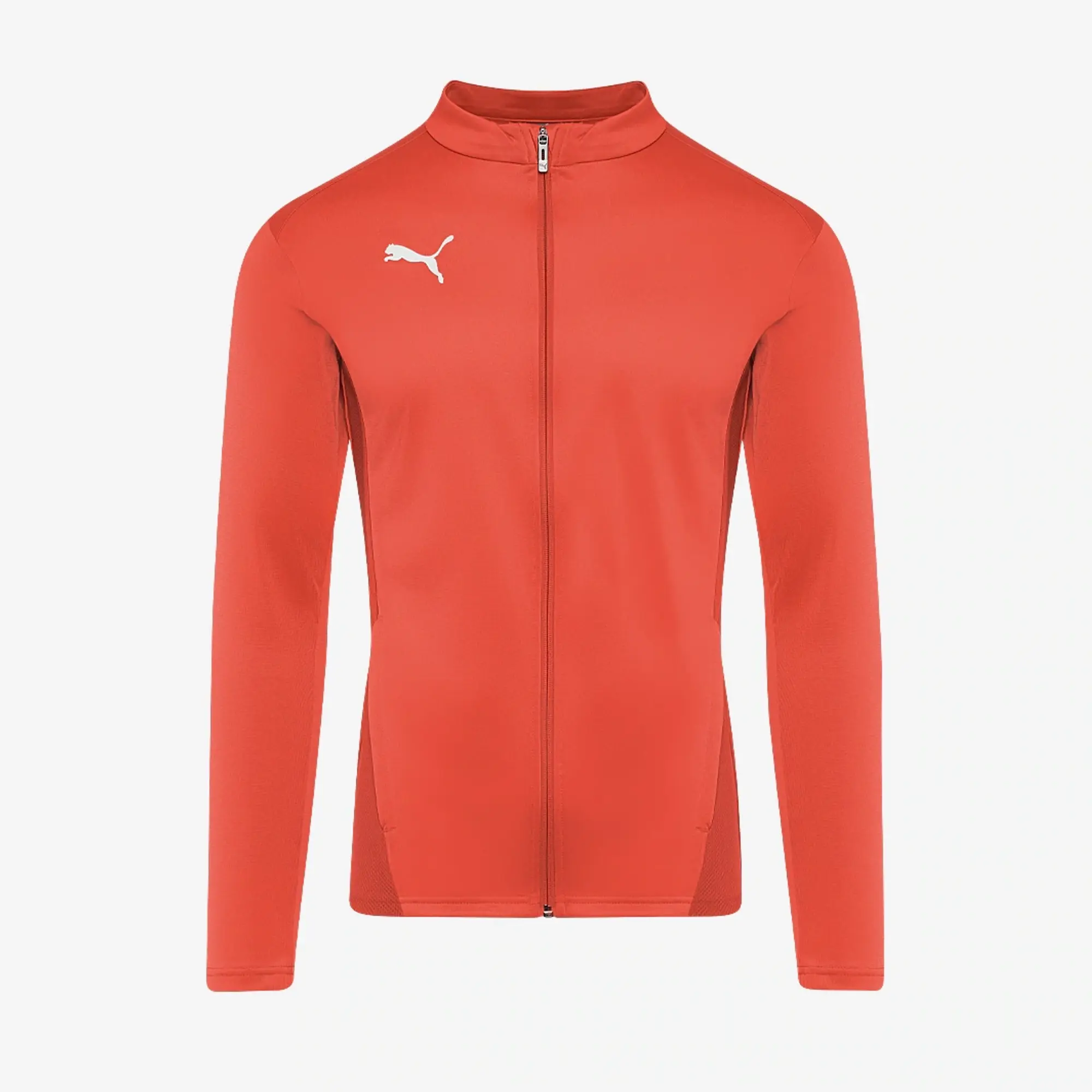 Puma Junior teamGOAL 24 Training Jacket