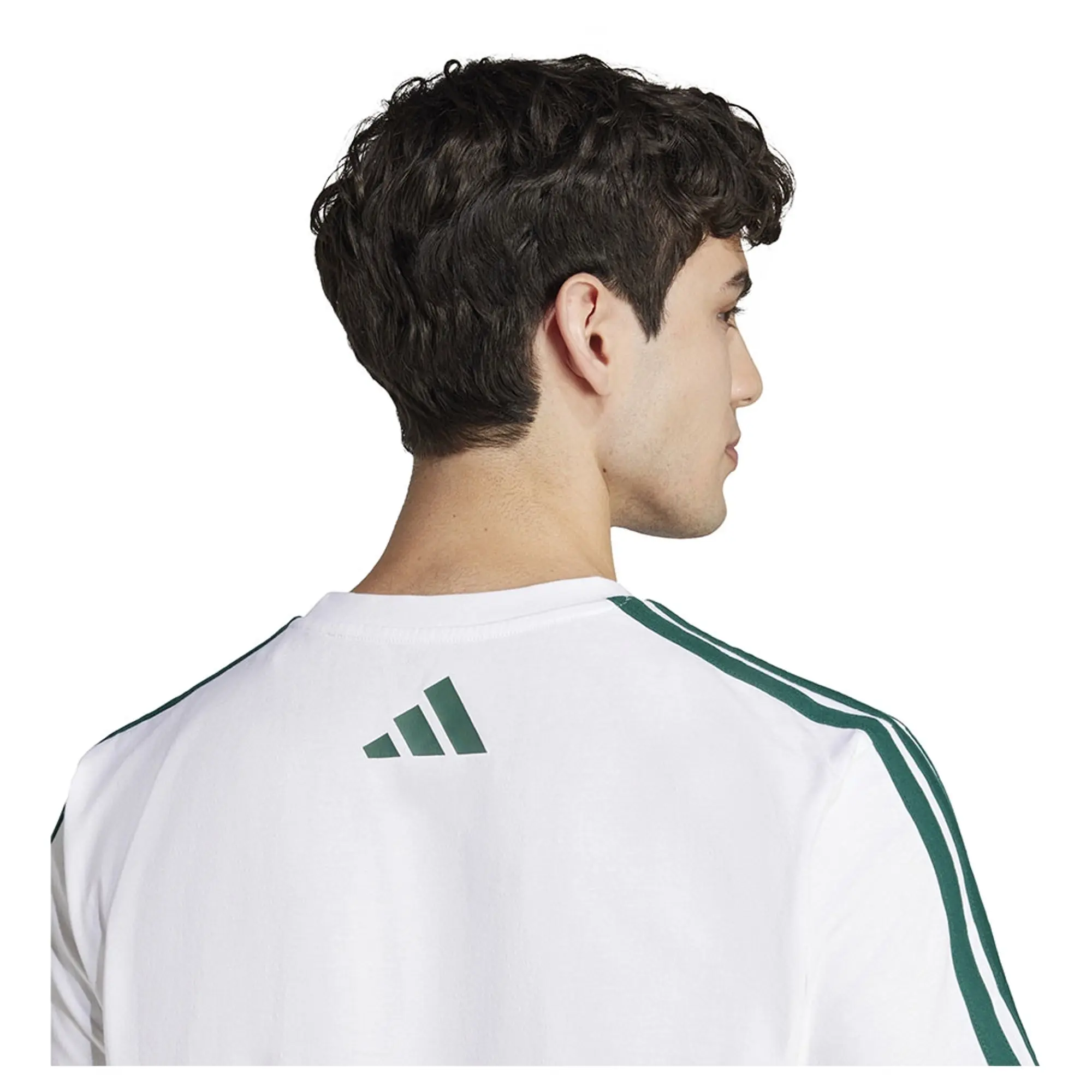 Adidas Codes Collegiate Linear Graphic Short Sleeve T-shirt