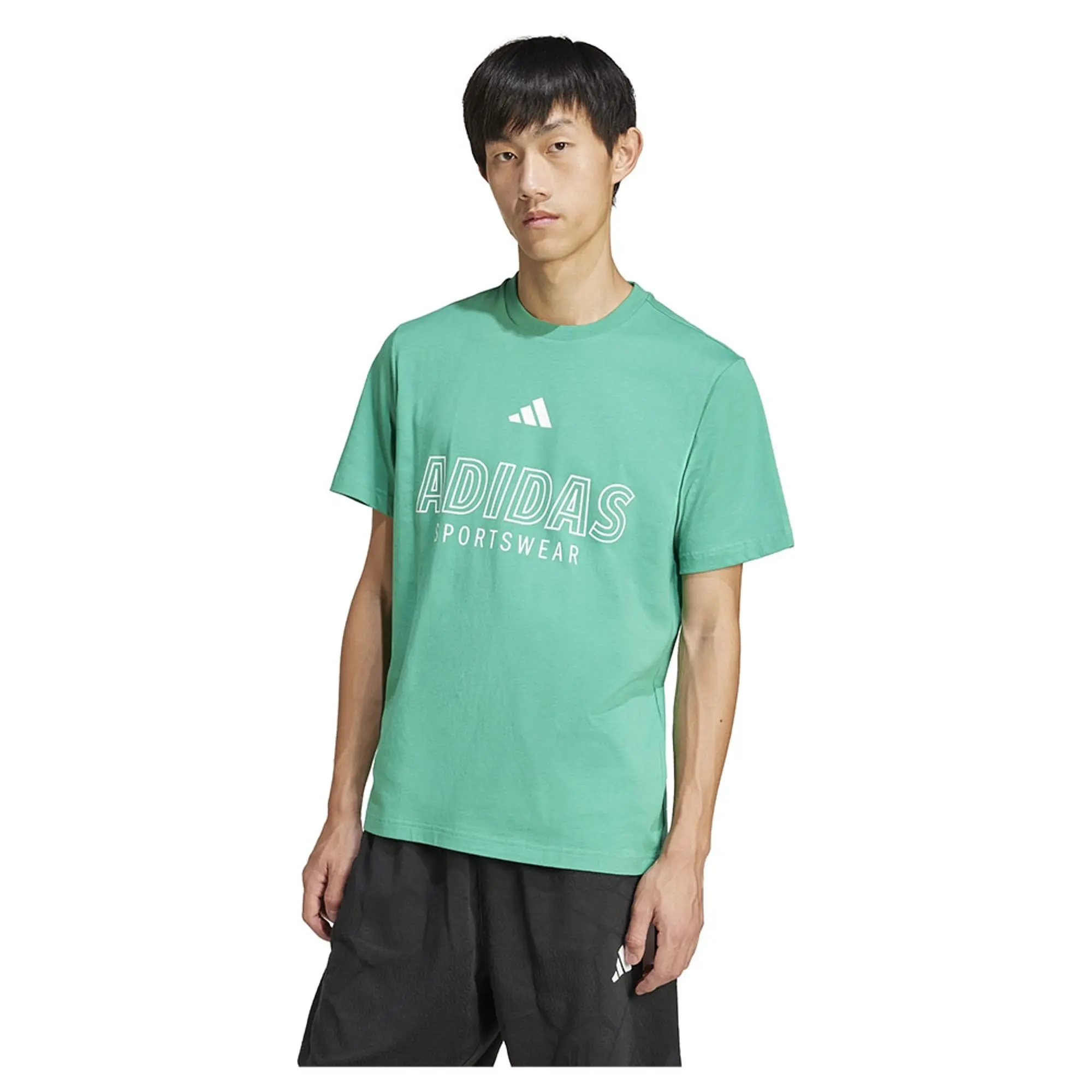 Adidas House Of Tiro Linear Graphic Short Sleeve T-shirt