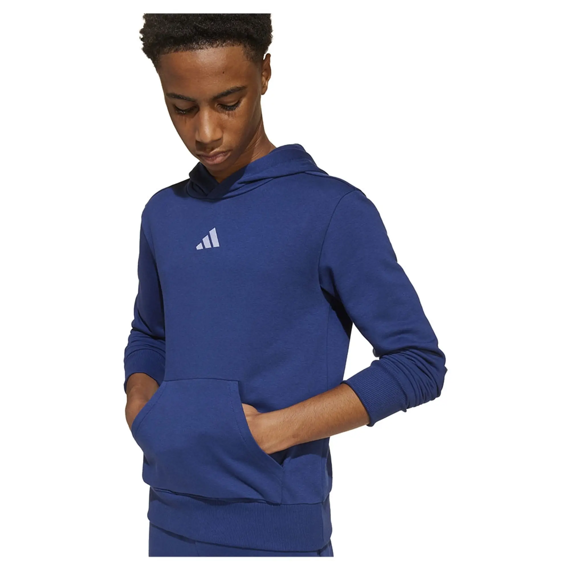 Adidas Essentials Small Logo Hoodie