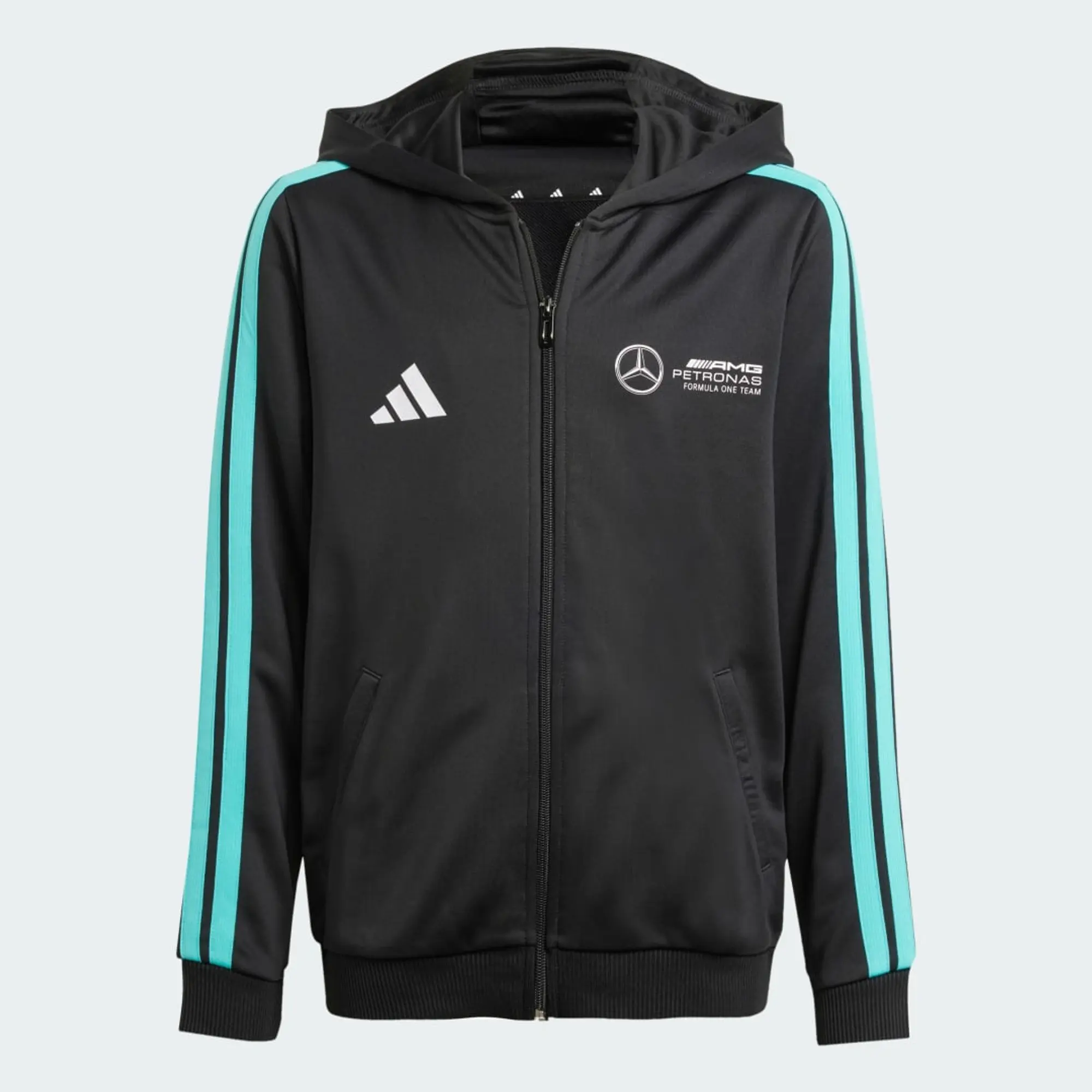 adidas MERCEDES - AMG PETRONAS FORMULA ONE TEAM DNA FULL ZIP HOOD