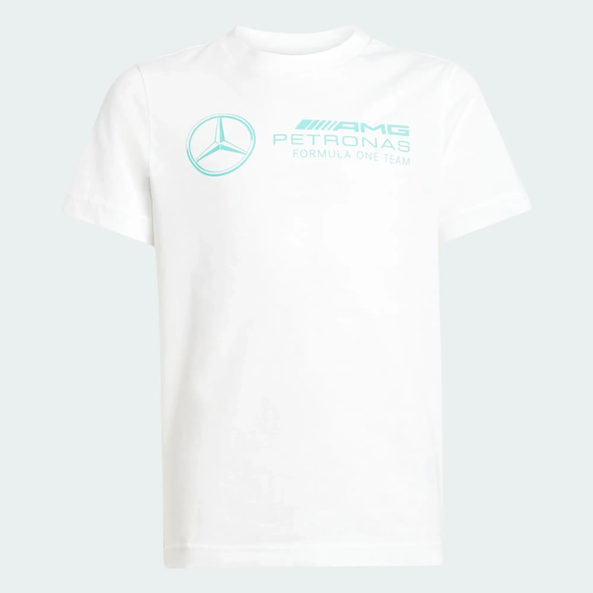 adidas MERCEDES - AMG PETRONAS FORMULA ONE TEAM DNA GRAPHIC T-Shirt