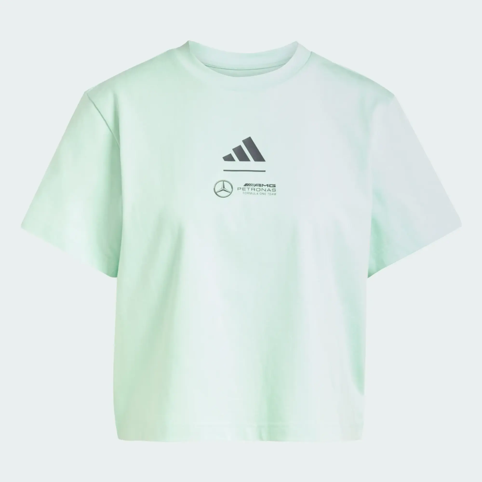 adidas MERCEDES - AMG PETRONAS FORMULA ONE TEAM Polo Shirt