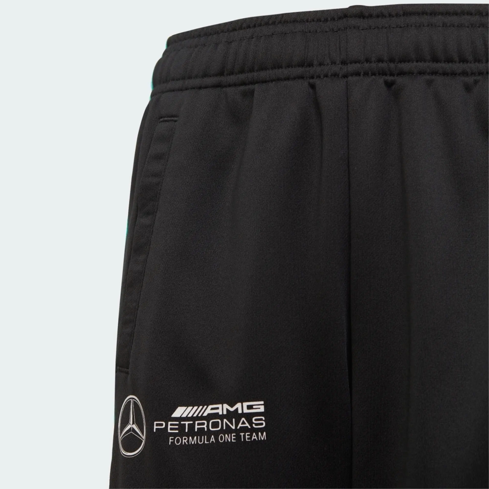 adidas MERCEDES - AMG PETRONAS FORMULA ONE TEAM DNA Joggers