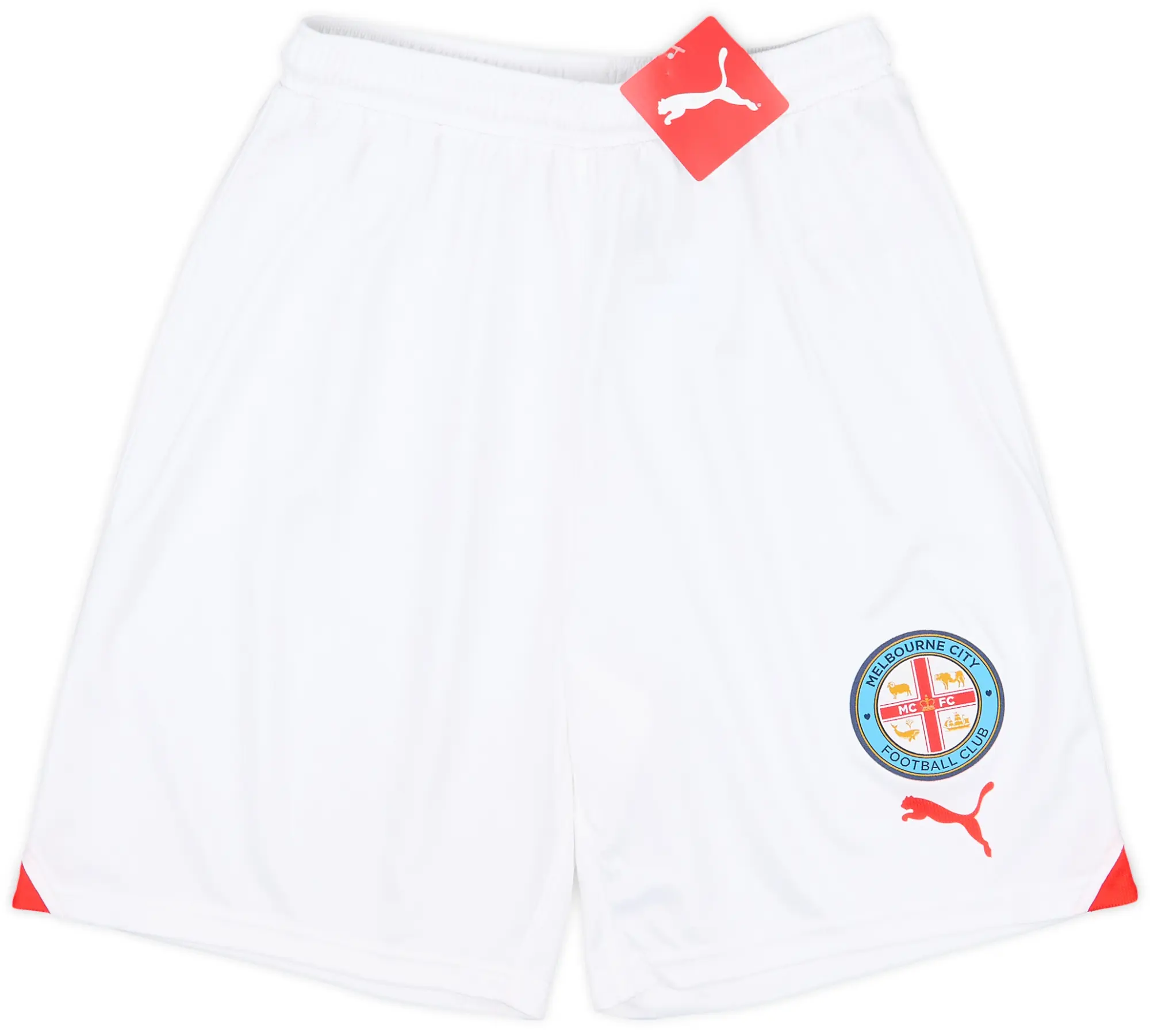 Puma 2023-24 Melbourne City Third Shorts (L)