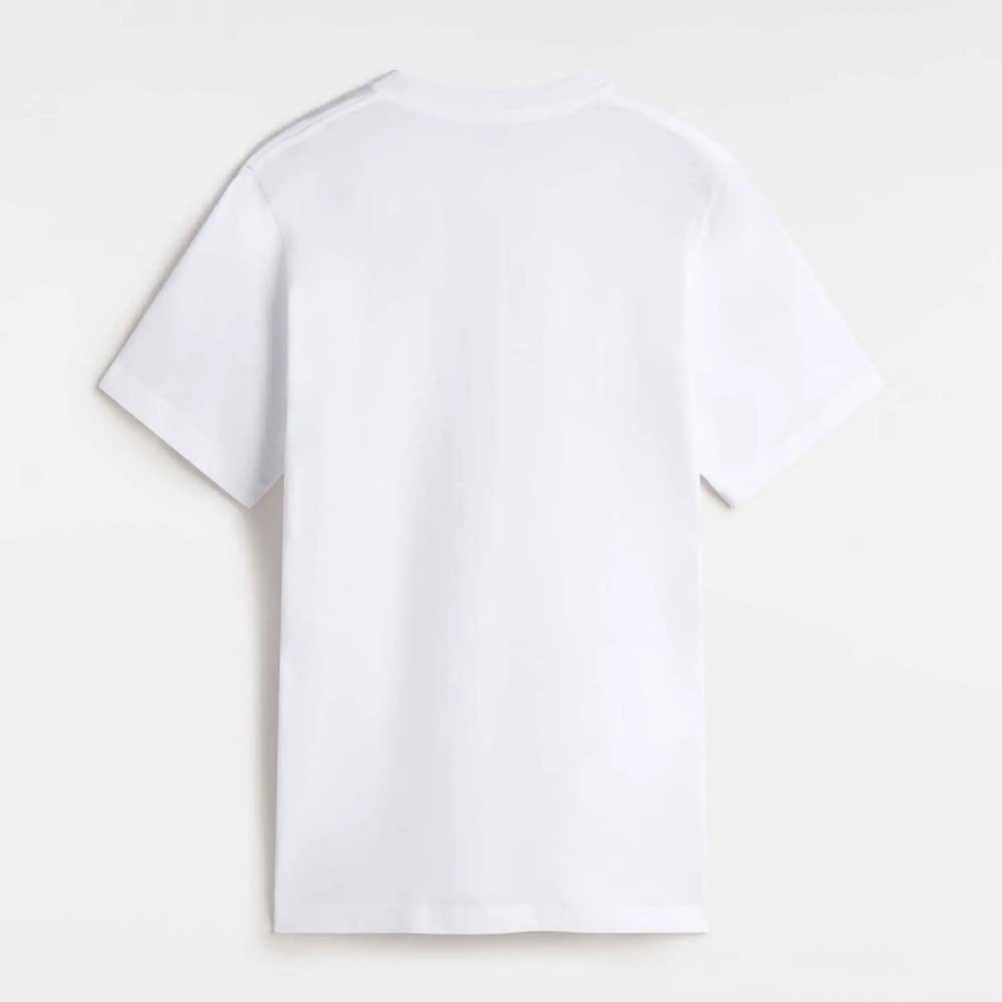 Vans - Kids Major Type T-Shirt (8-14 Years), White
