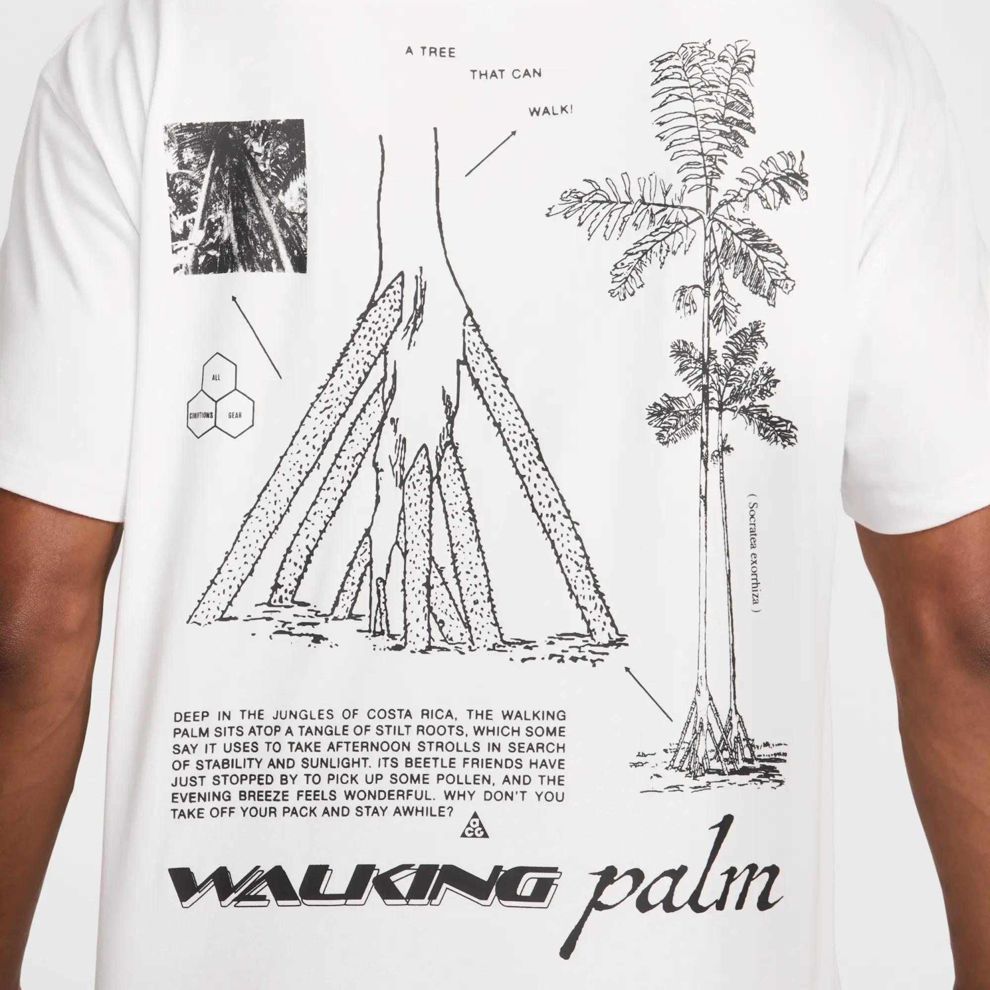 Nike ACG 'Walking Tree' Men's Dri-FIT T-Shirt - White - Sustainable Materials