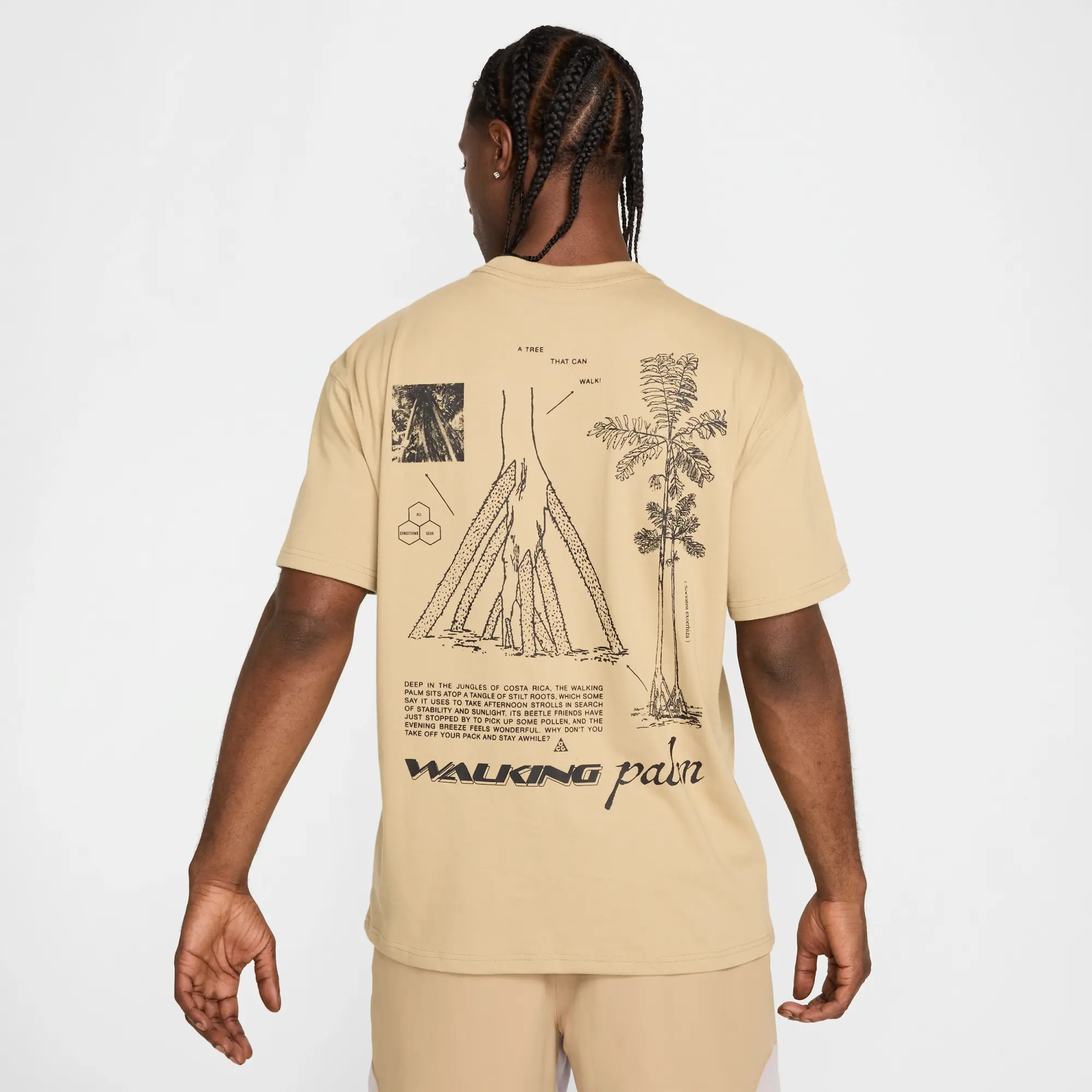 T-Shirt Nike Acg Walking Tree Men's Dri-Fit T-Shirt Parachute Beige L