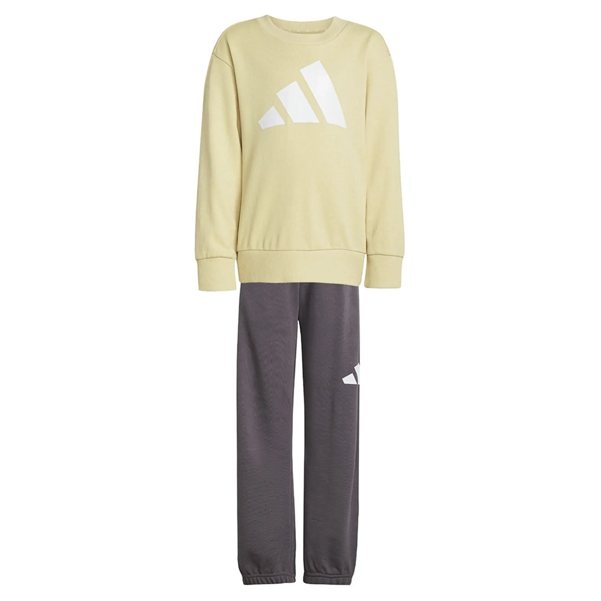 Adidas Essentials Joggers Set