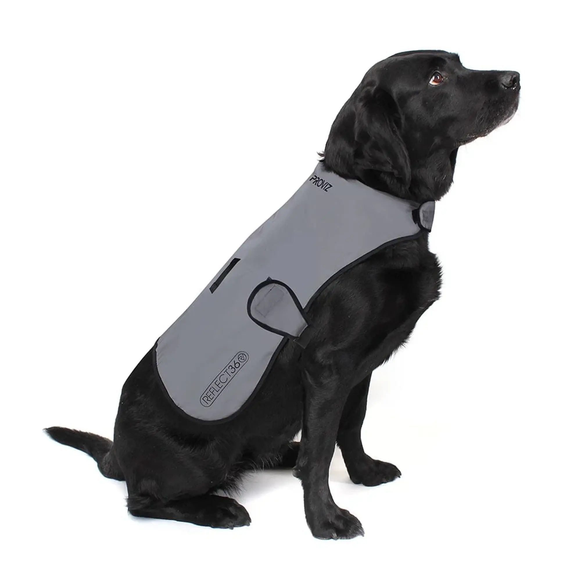 Proviz Reflective Waterproof Dog Coat