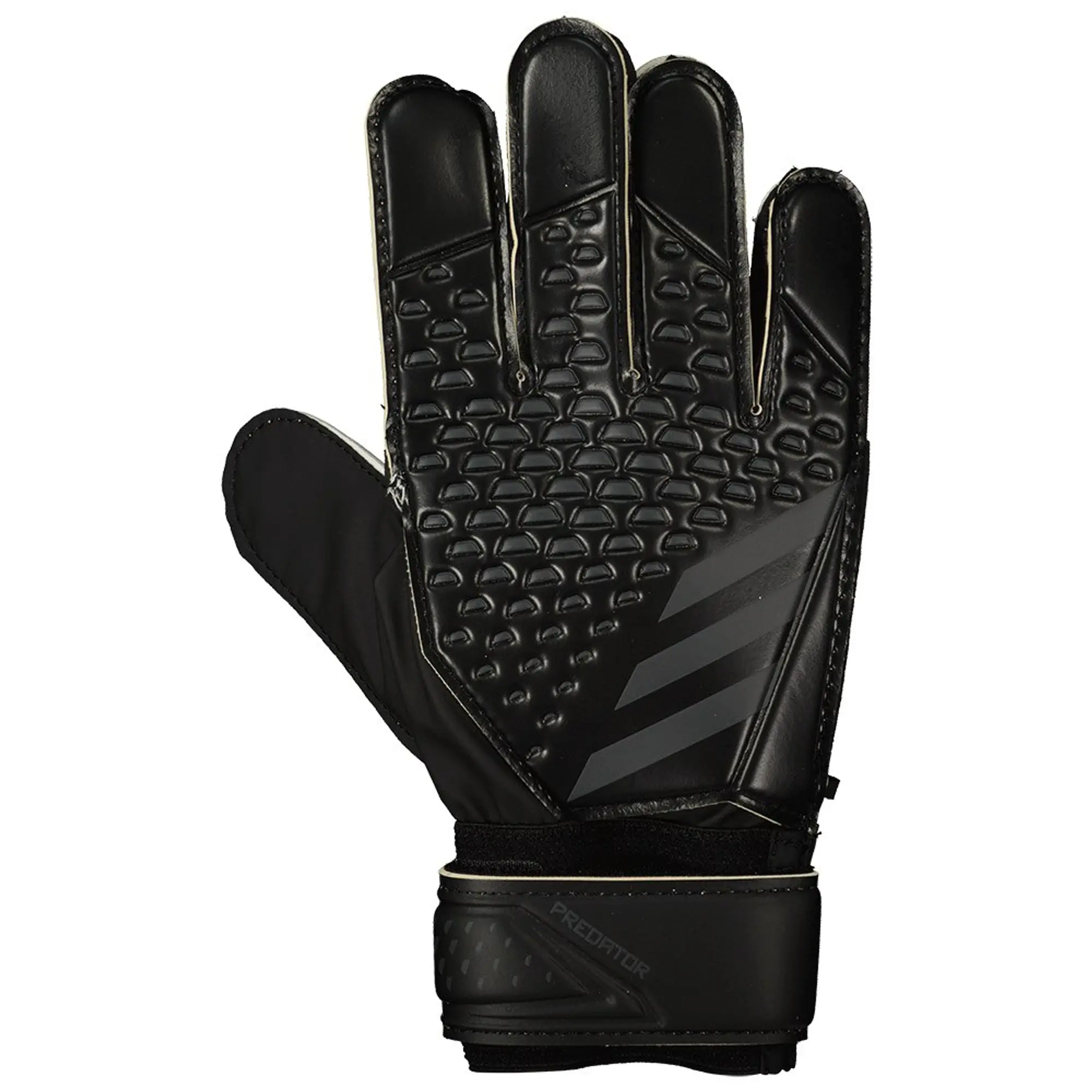 Adidas Pred Training Goalkeeper Gloves