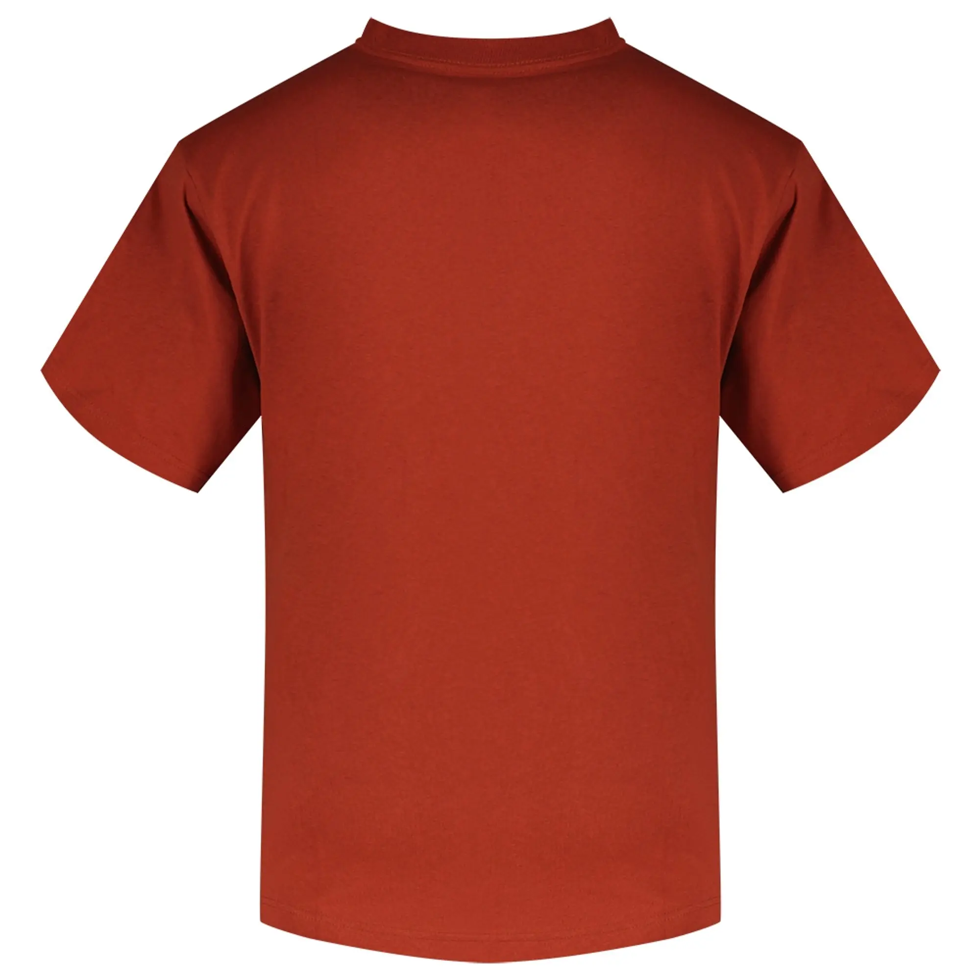 Vans Salton Loose Short Sleeve T-shirt