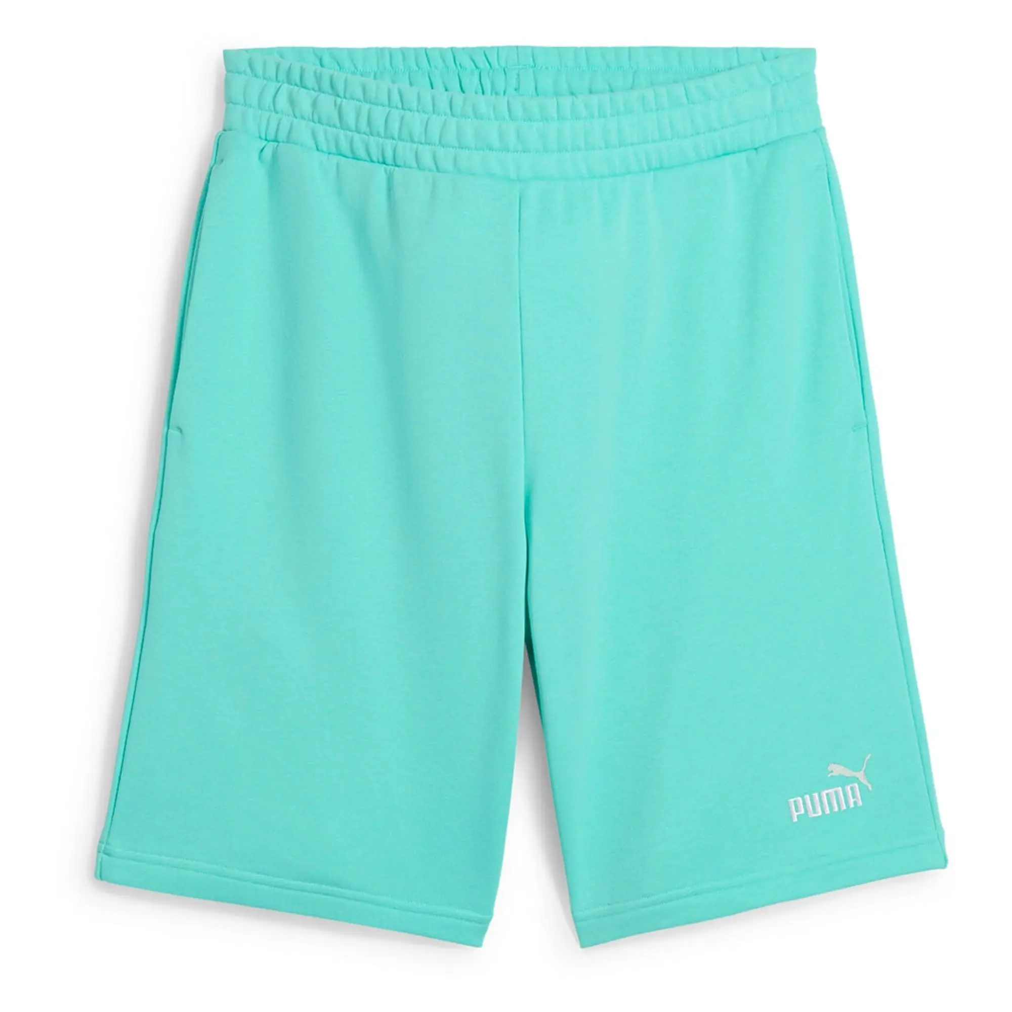 Puma Ess 2 Color No. 1 Logo 10 Shorts