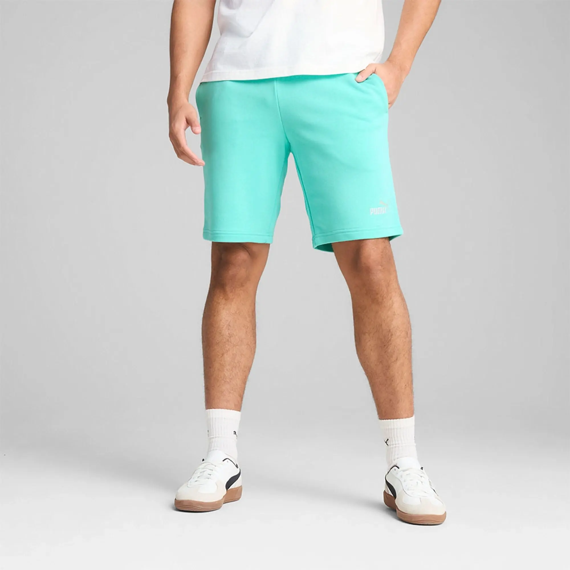 Puma Ess 2 Color No. 1 Logo 10 Shorts