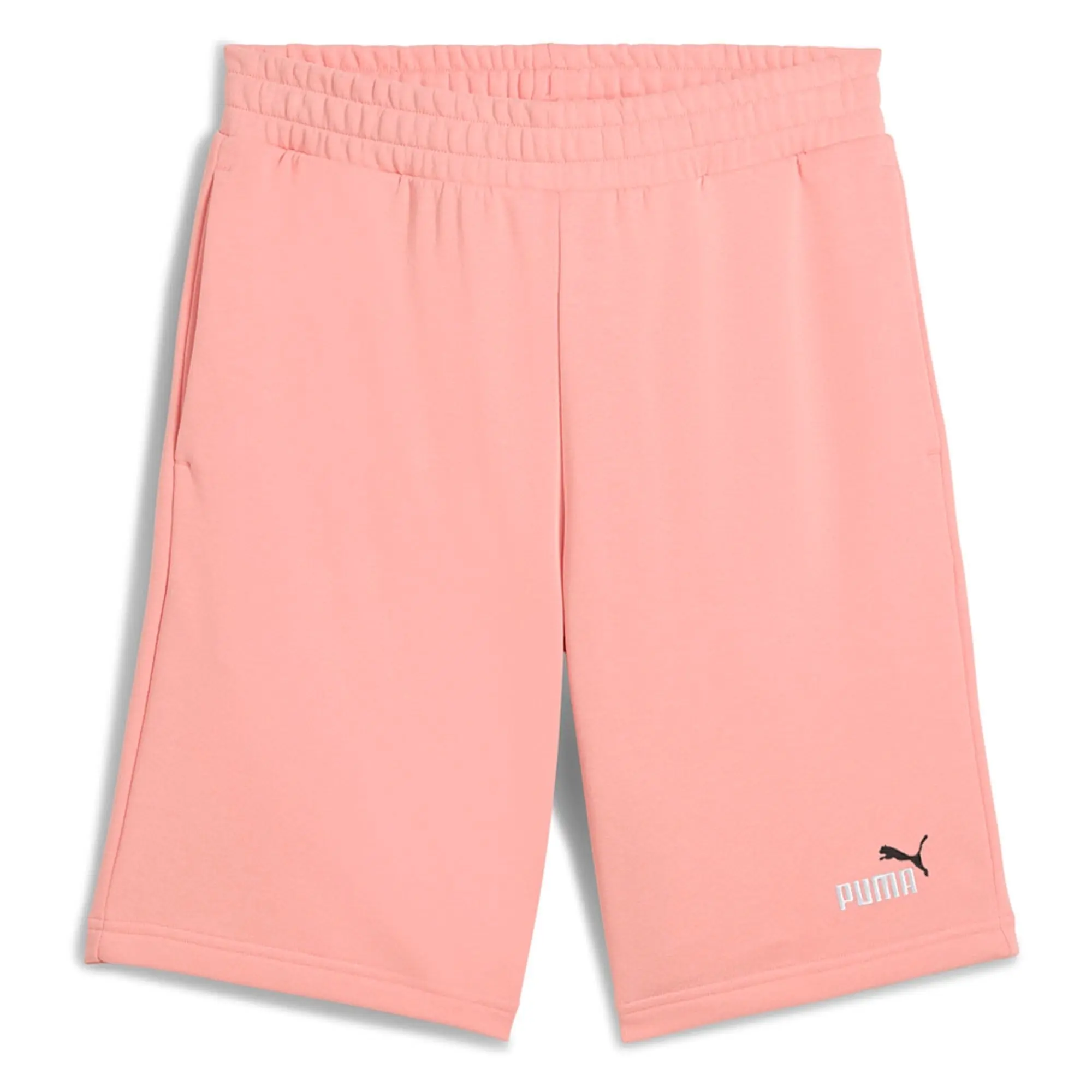 Puma Ess 2 Color No. 1 Logo 10 Shorts