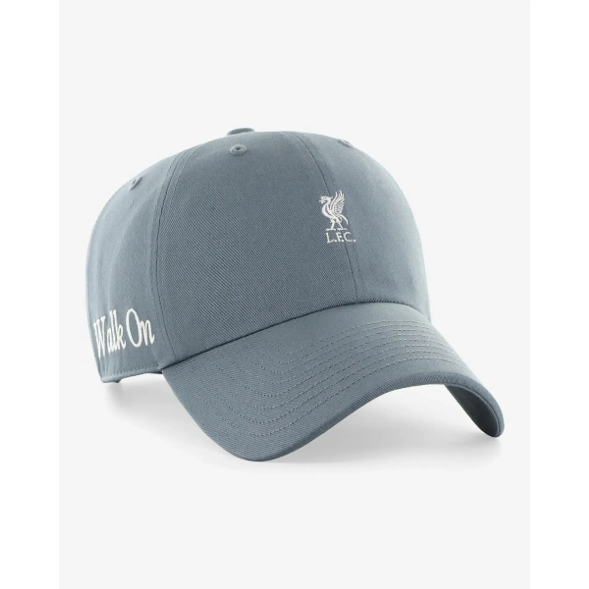 Liverpool FC LFC 47 Juniors Clean Up Cap Basalt