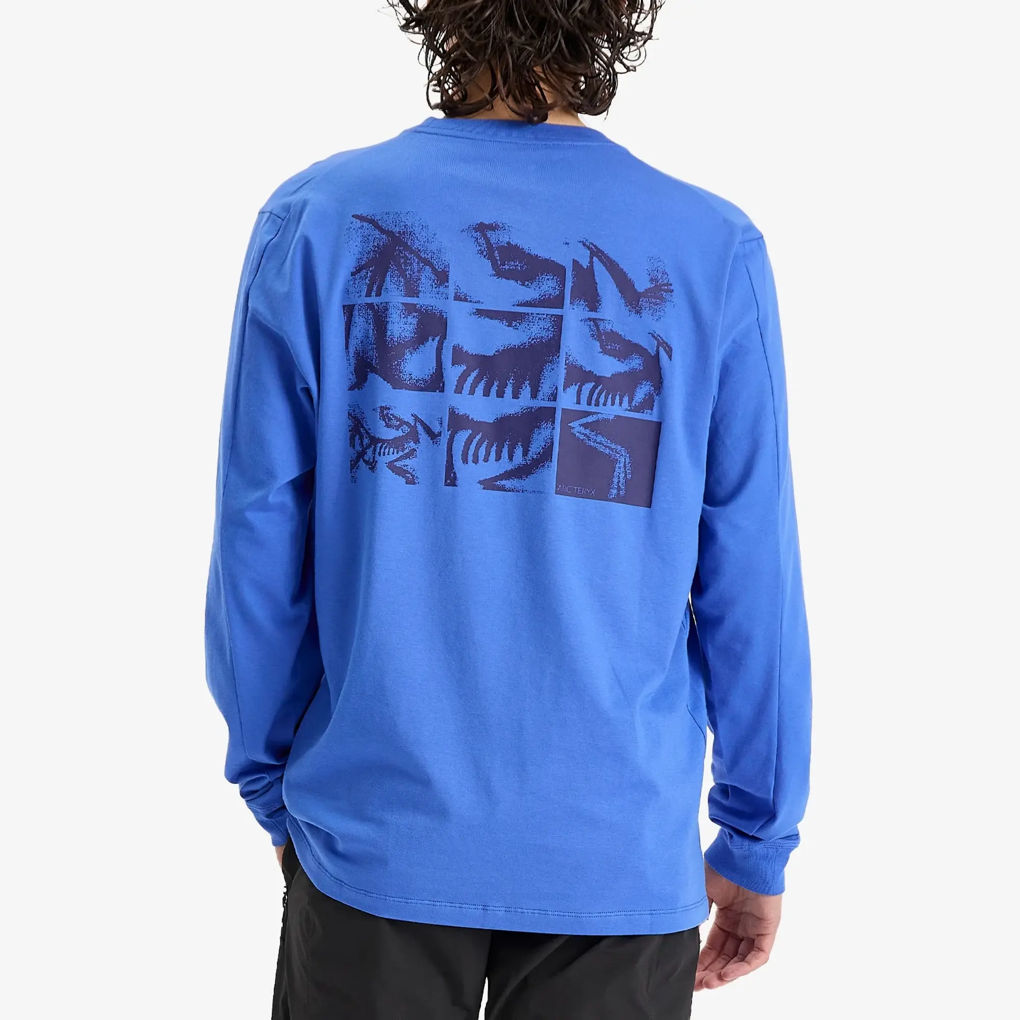 Arc'teryx Men's Kragg SL Cotton Bird Tile Long Sleeve T-Shirt Electra/Soulsonic