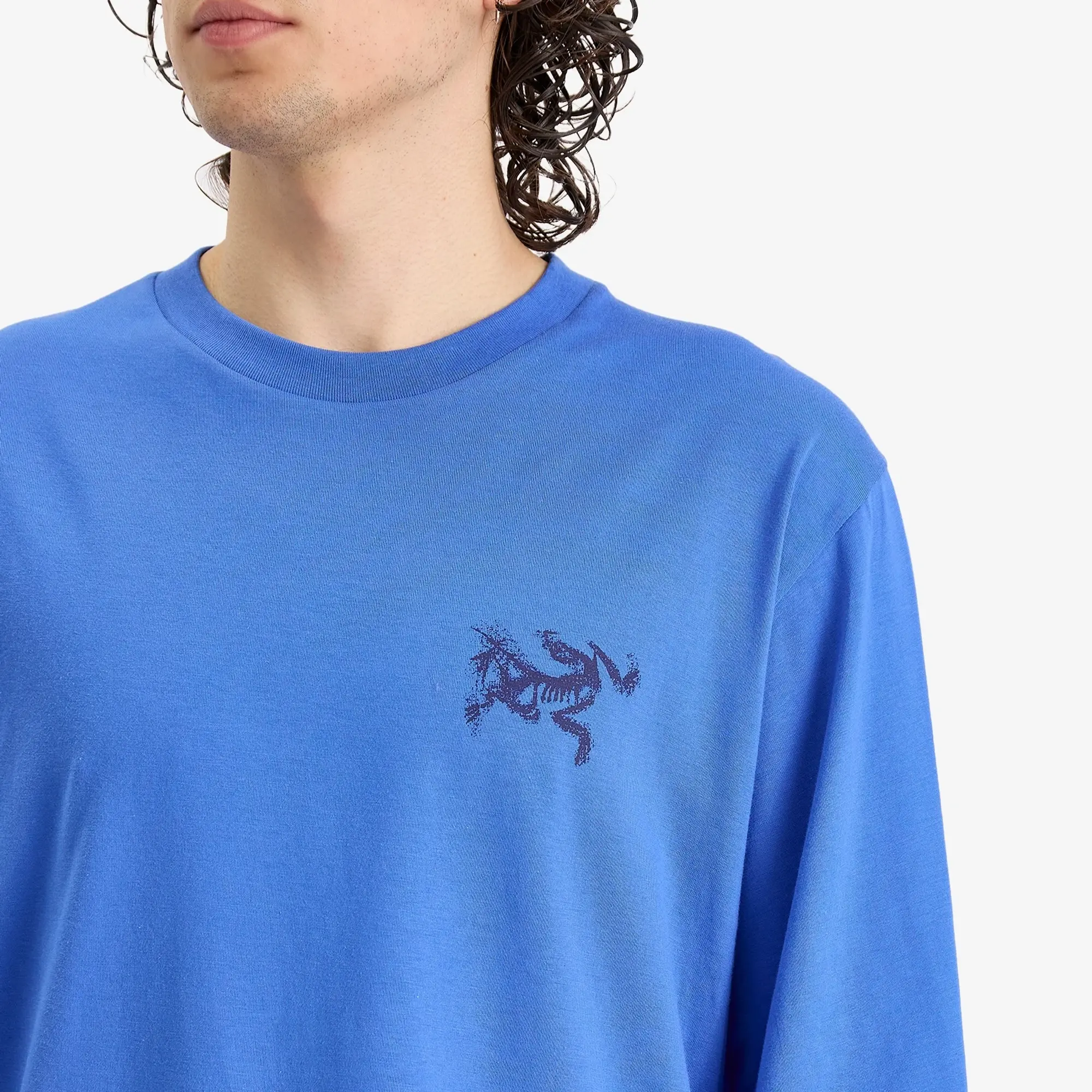 Arc'teryx Men's Kragg SL Cotton Bird Tile Long Sleeve T-Shirt Electra/Soulsonic