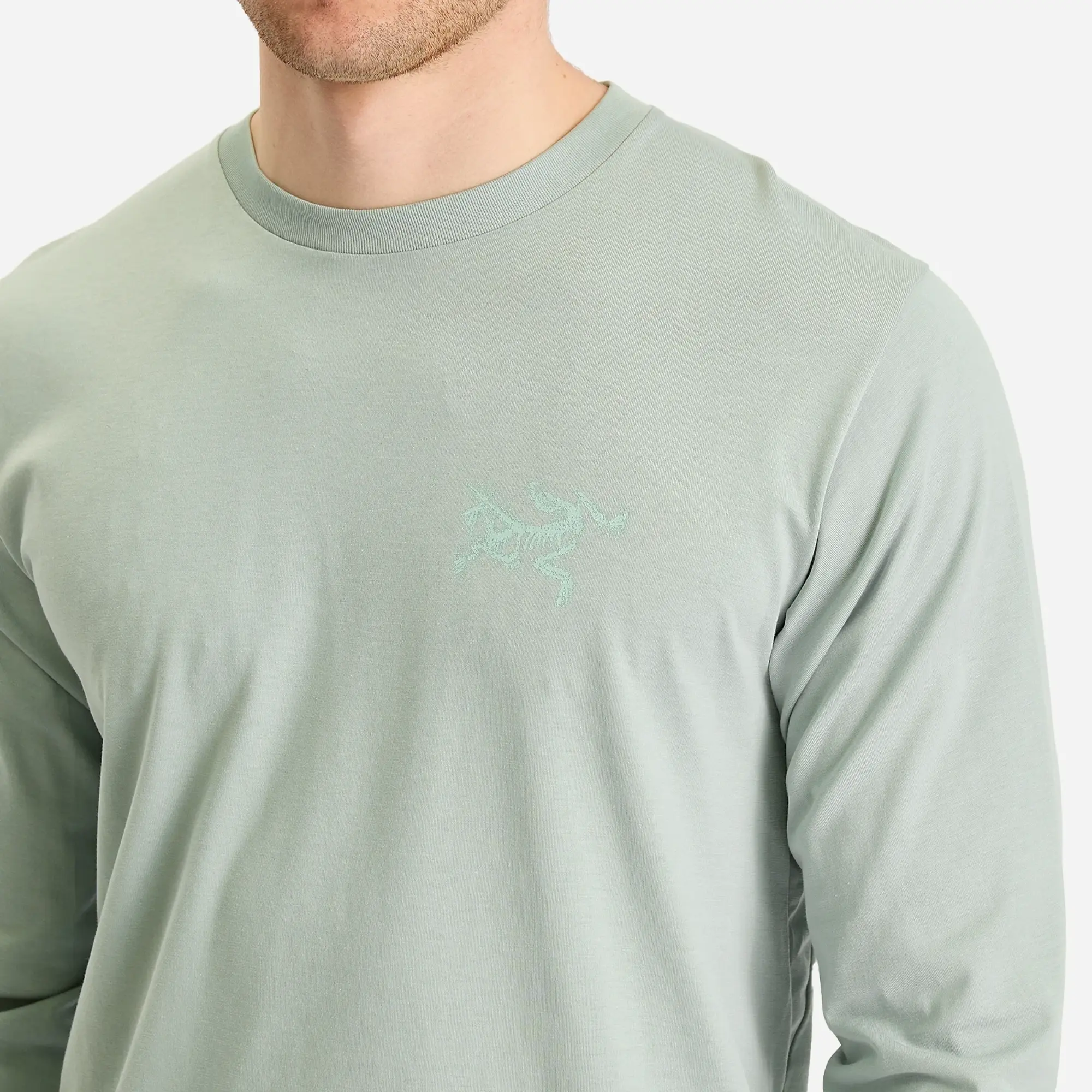 Arc'teryx Men's Kragg SL Cotton Bird Tile Long Sleeve T-Shirt Stone Green/Phosphorescent