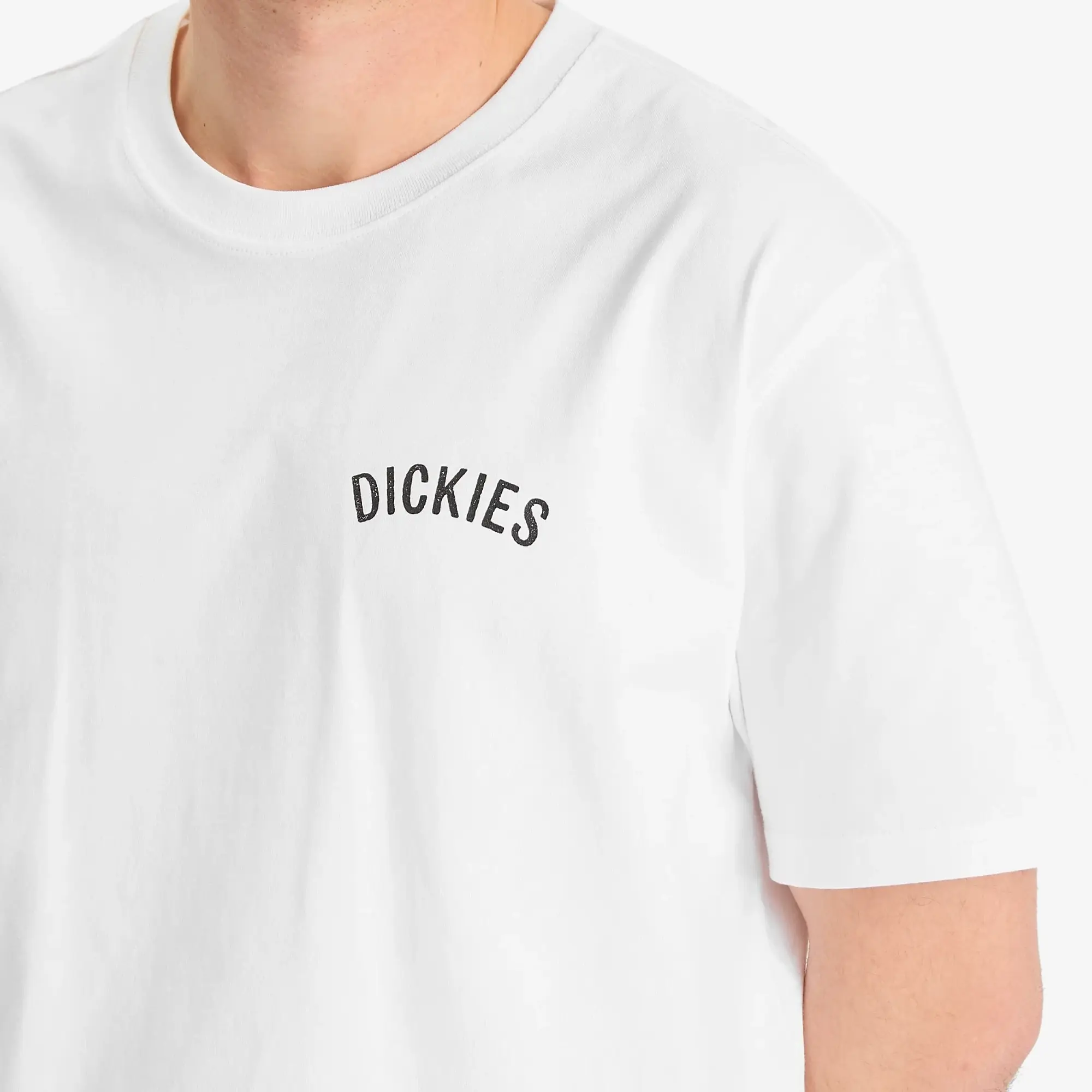 Dickies Snake Short Sleeve T-shirt