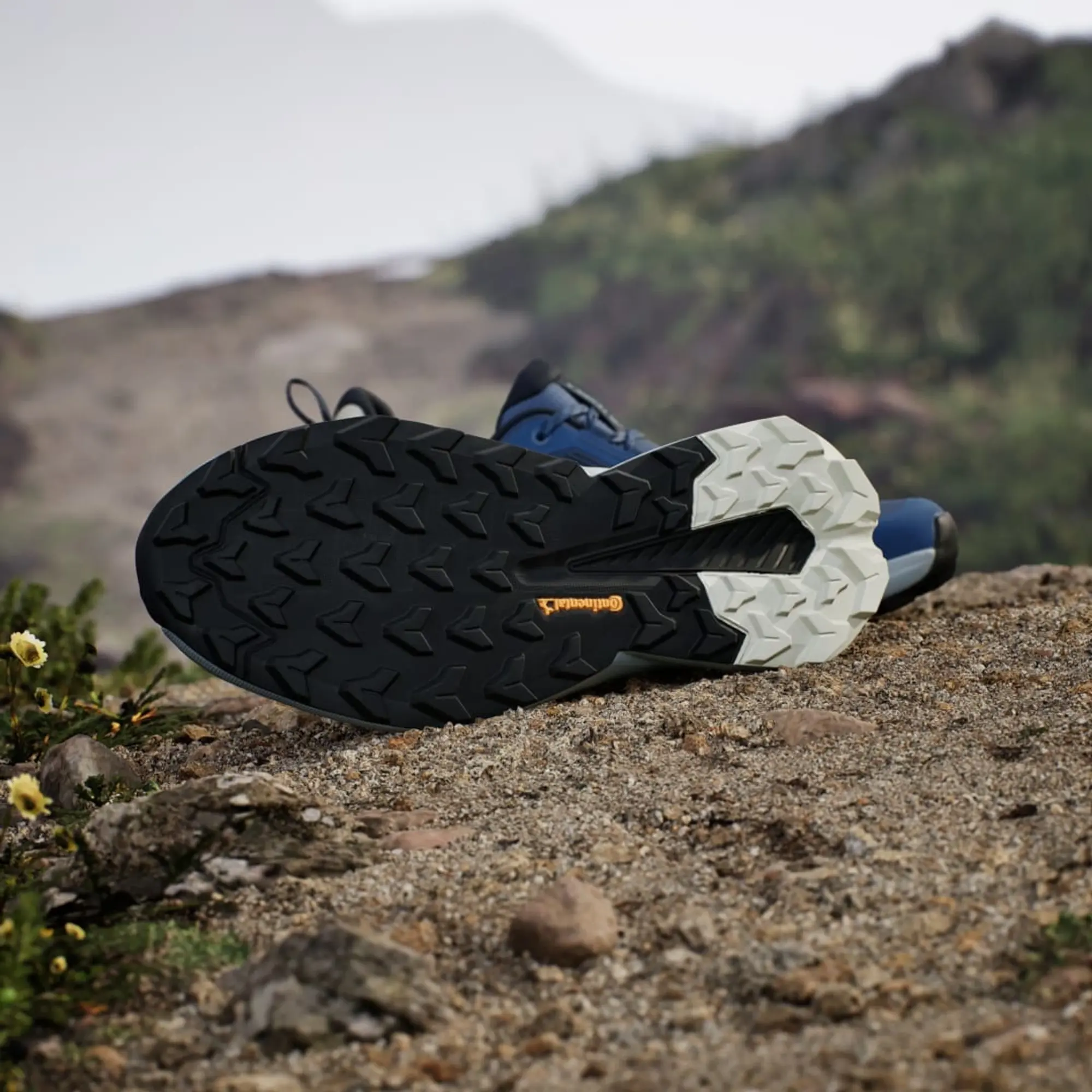 adidas Terrex Trailmaker 2.0 Hiking Shoes