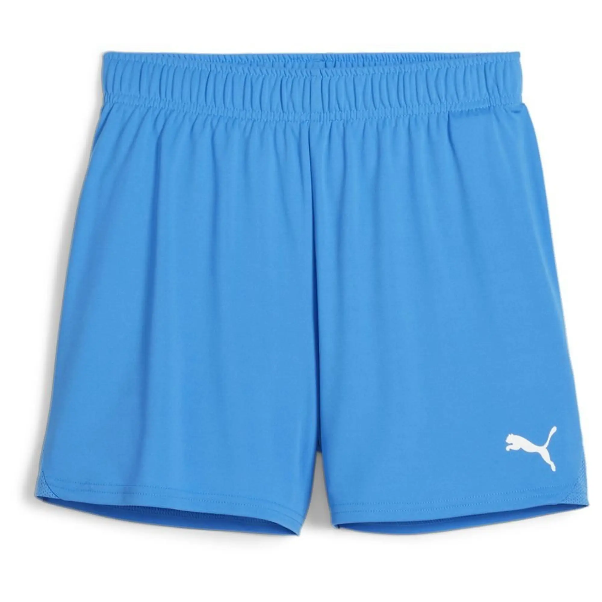 Puma Shorts Handball Teamgoal - ['Blue']