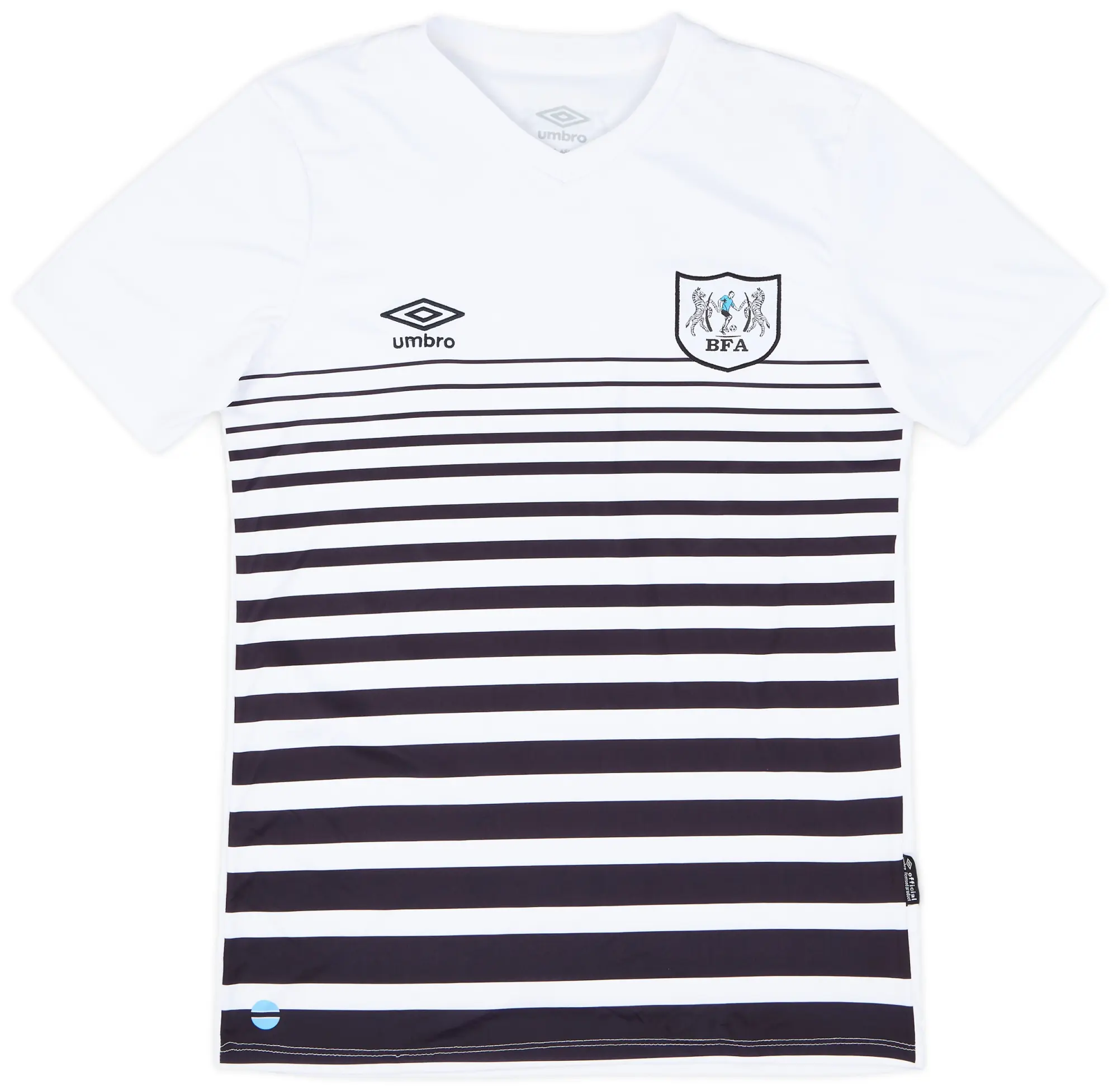 2021-22 Botswana Away Shirt - 10/10 - (L)