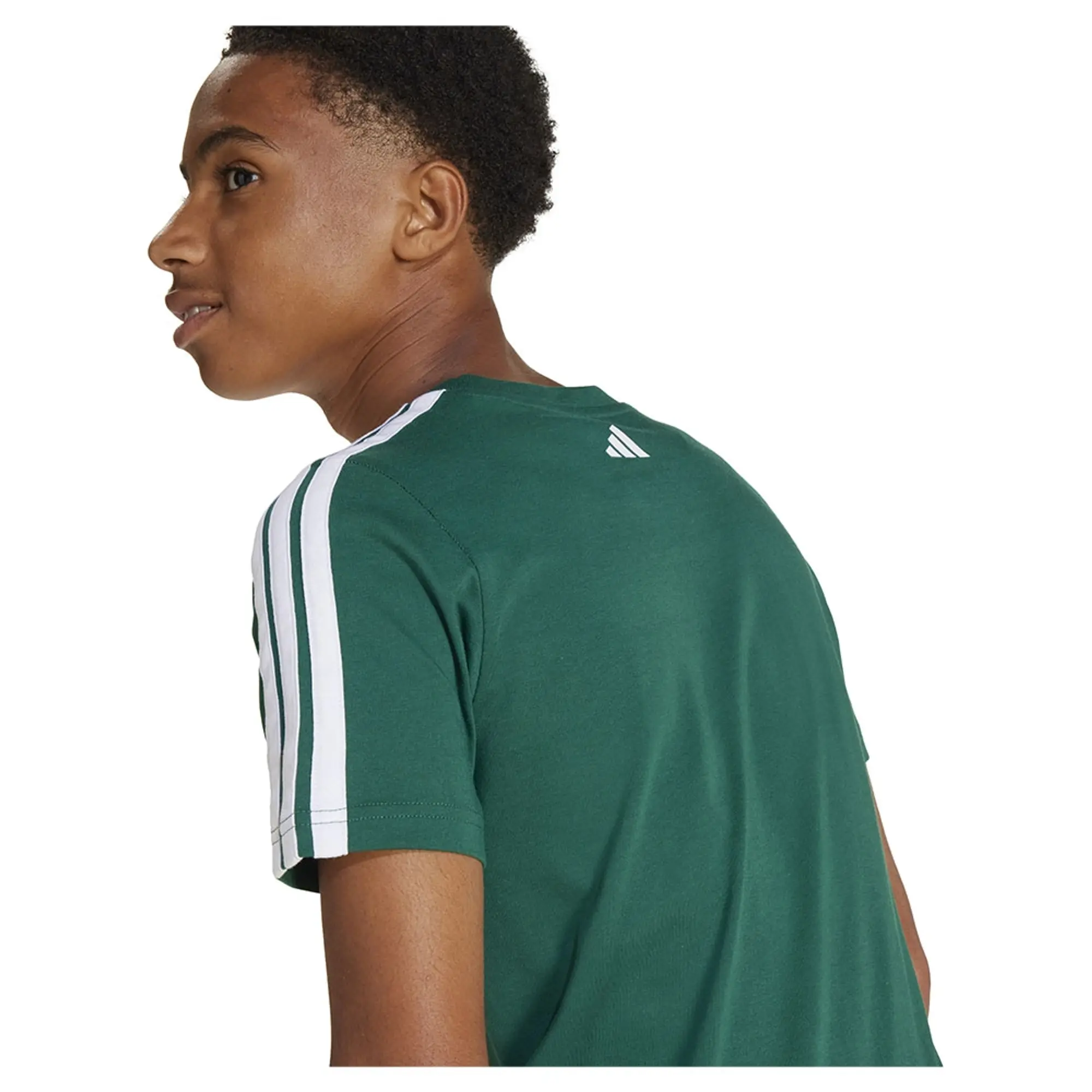Adidas Codes Collegiate Graphic Short Sleeve T-shirt