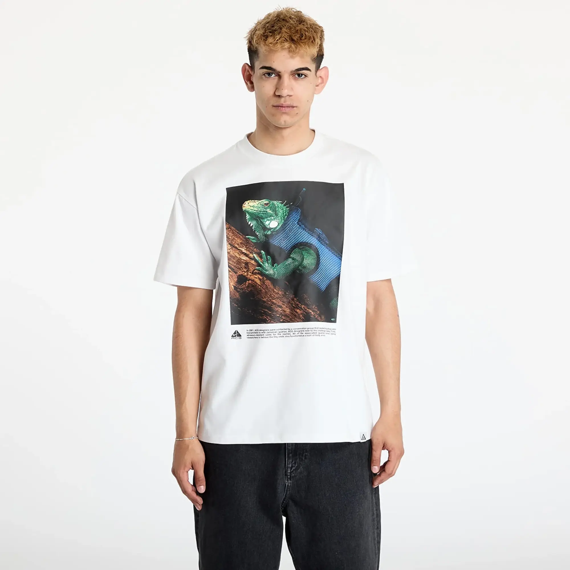 Nike ACG DF TEE OC IGUANA VEST