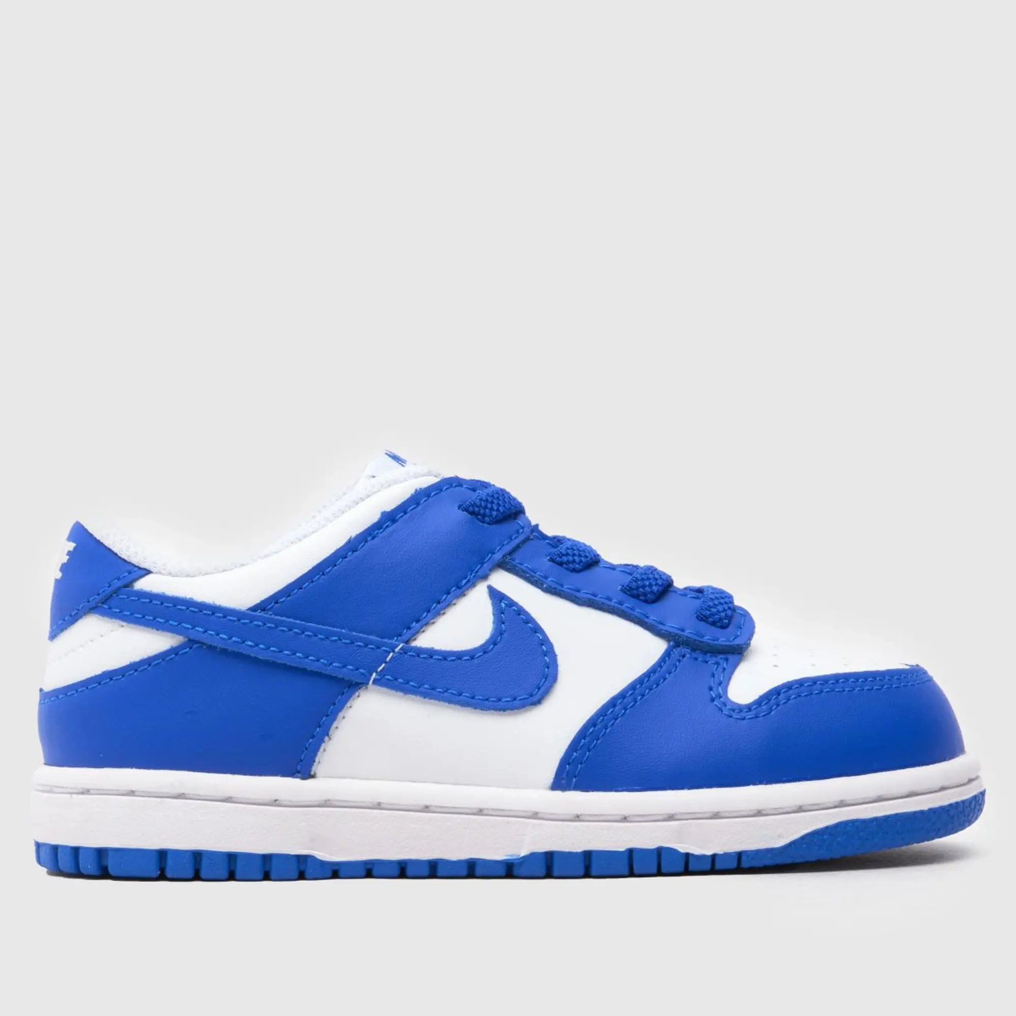 Nike Dunk Unisex Shoes - White