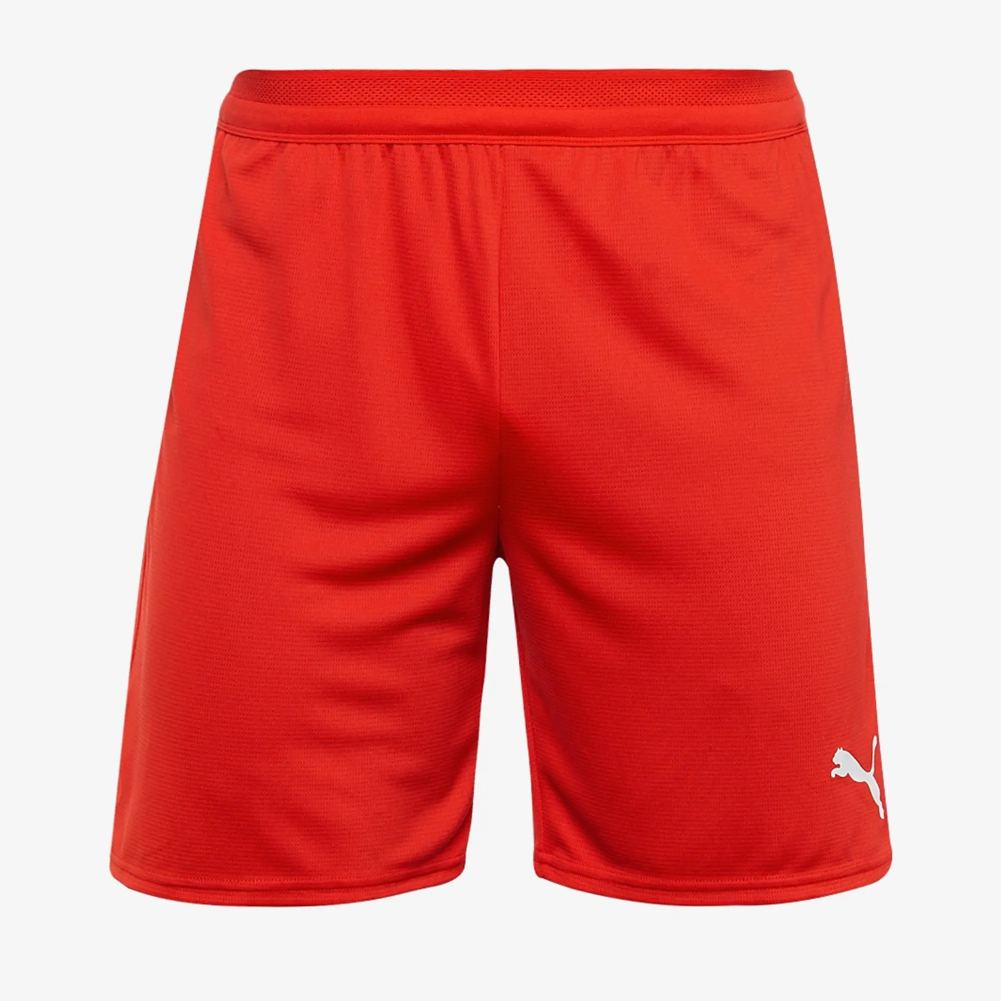 Puma teamCUP 25 Shorts