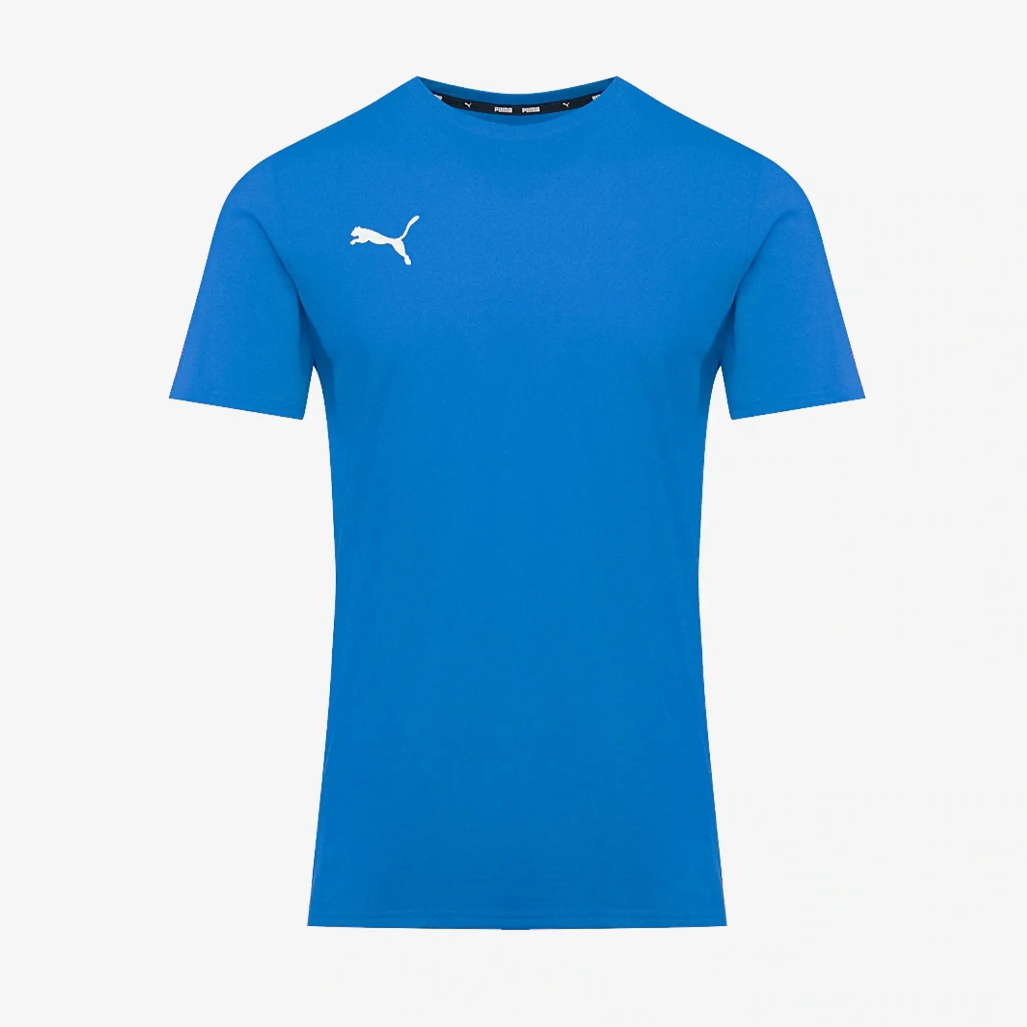 Puma Junior teamGOAL 25 Casuals SS Tee