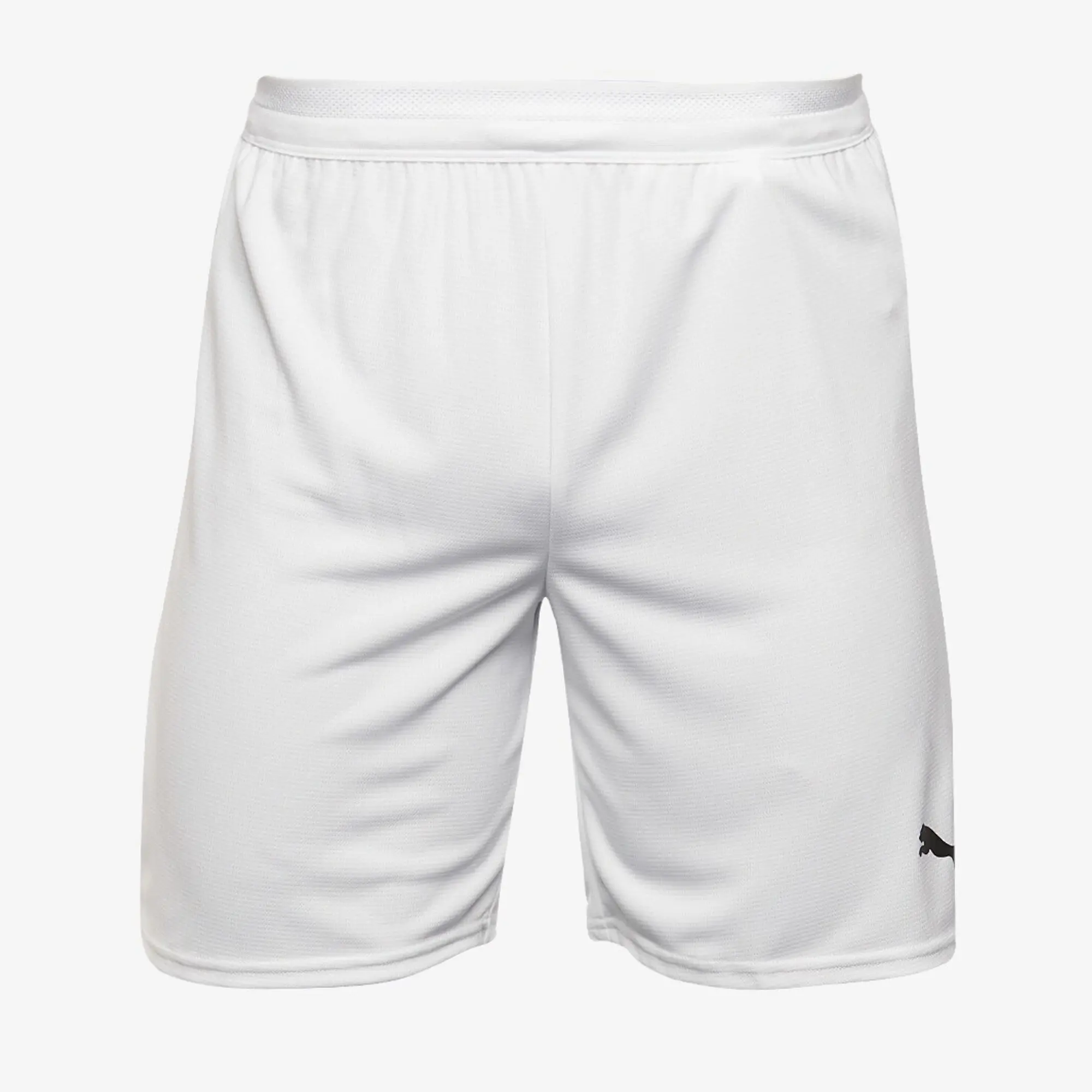 Puma teamCUP 25 Shorts