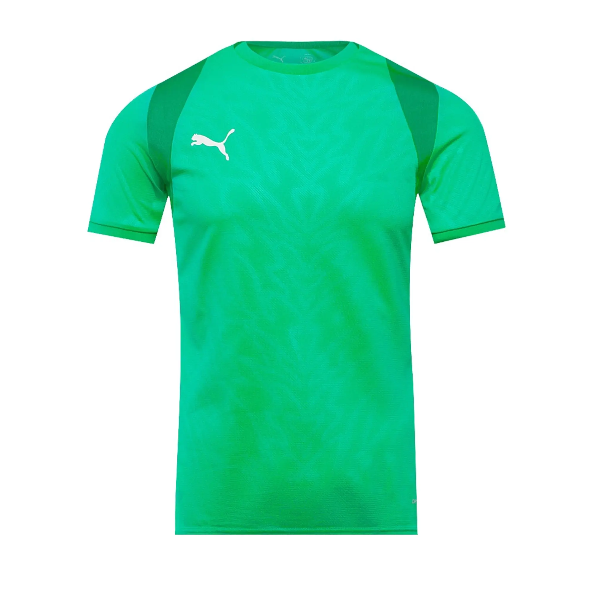 Puma teamCUP 25 SS Shirt
