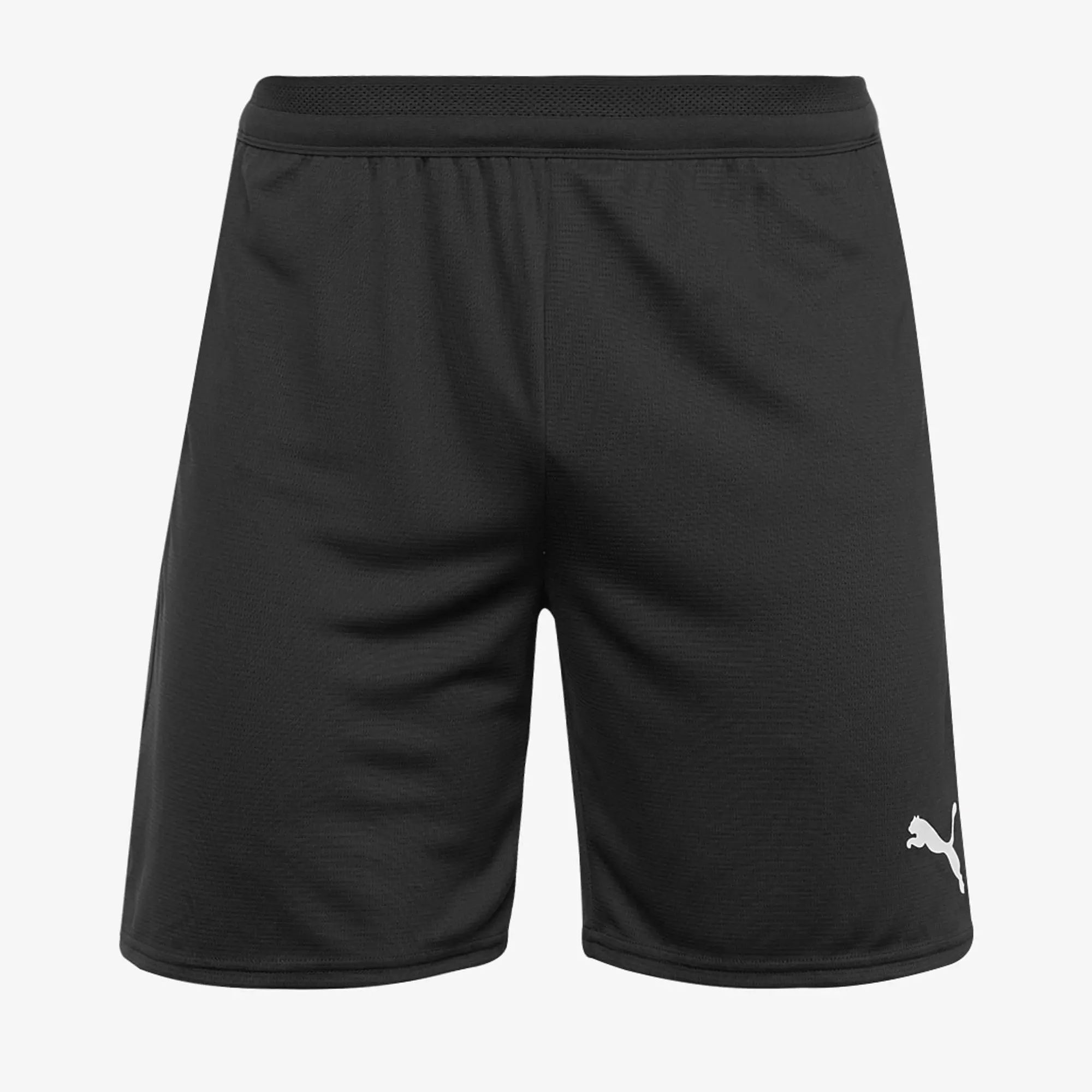 Puma teamCUP 25 Shorts