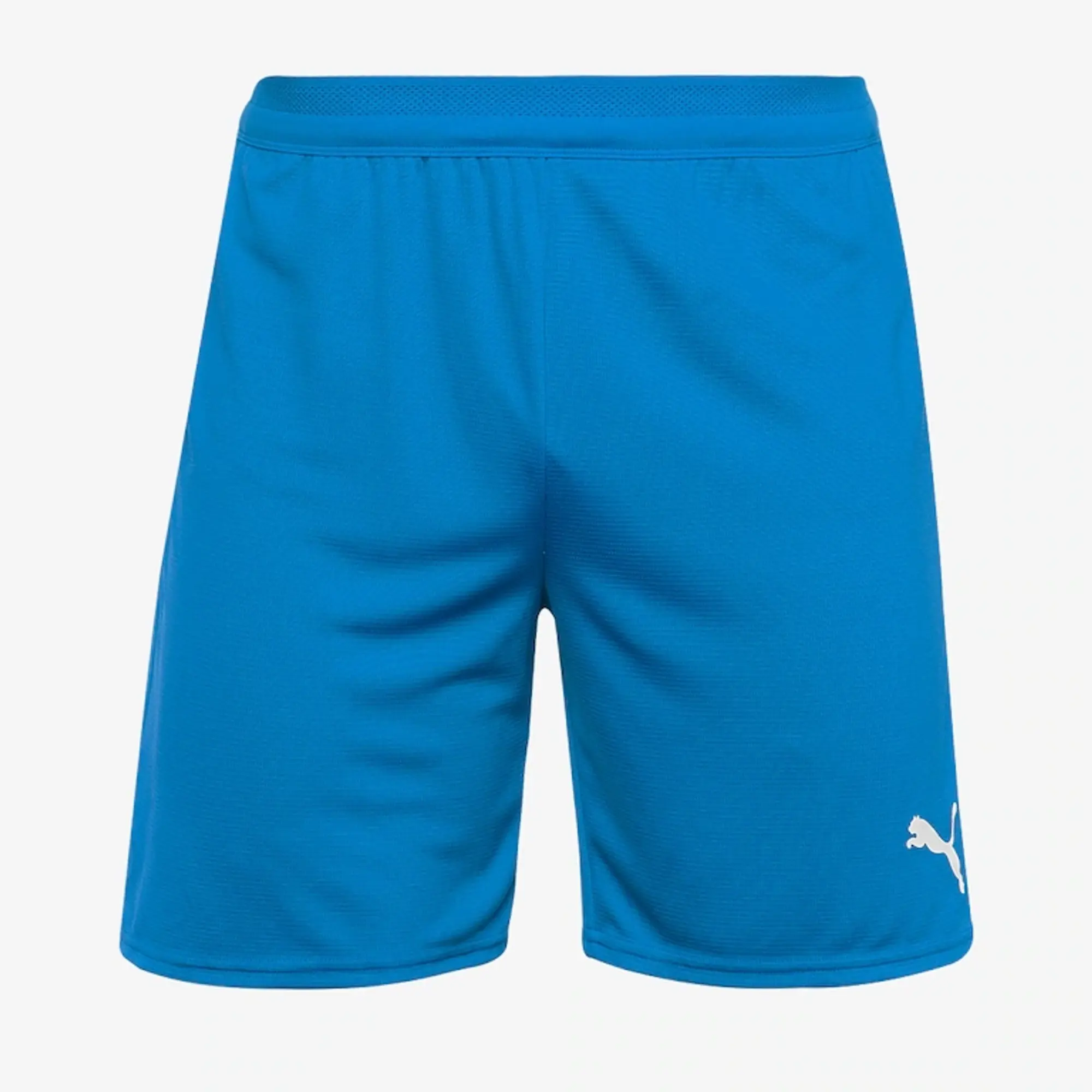 Puma teamCUP 25 Shorts