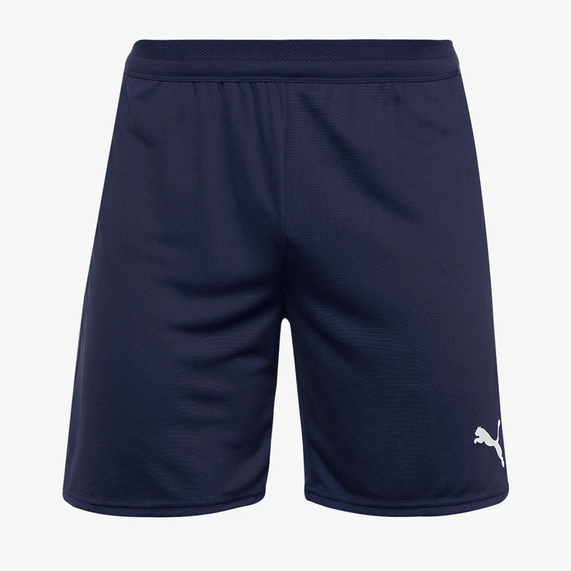 Puma teamCUP 25 Shorts