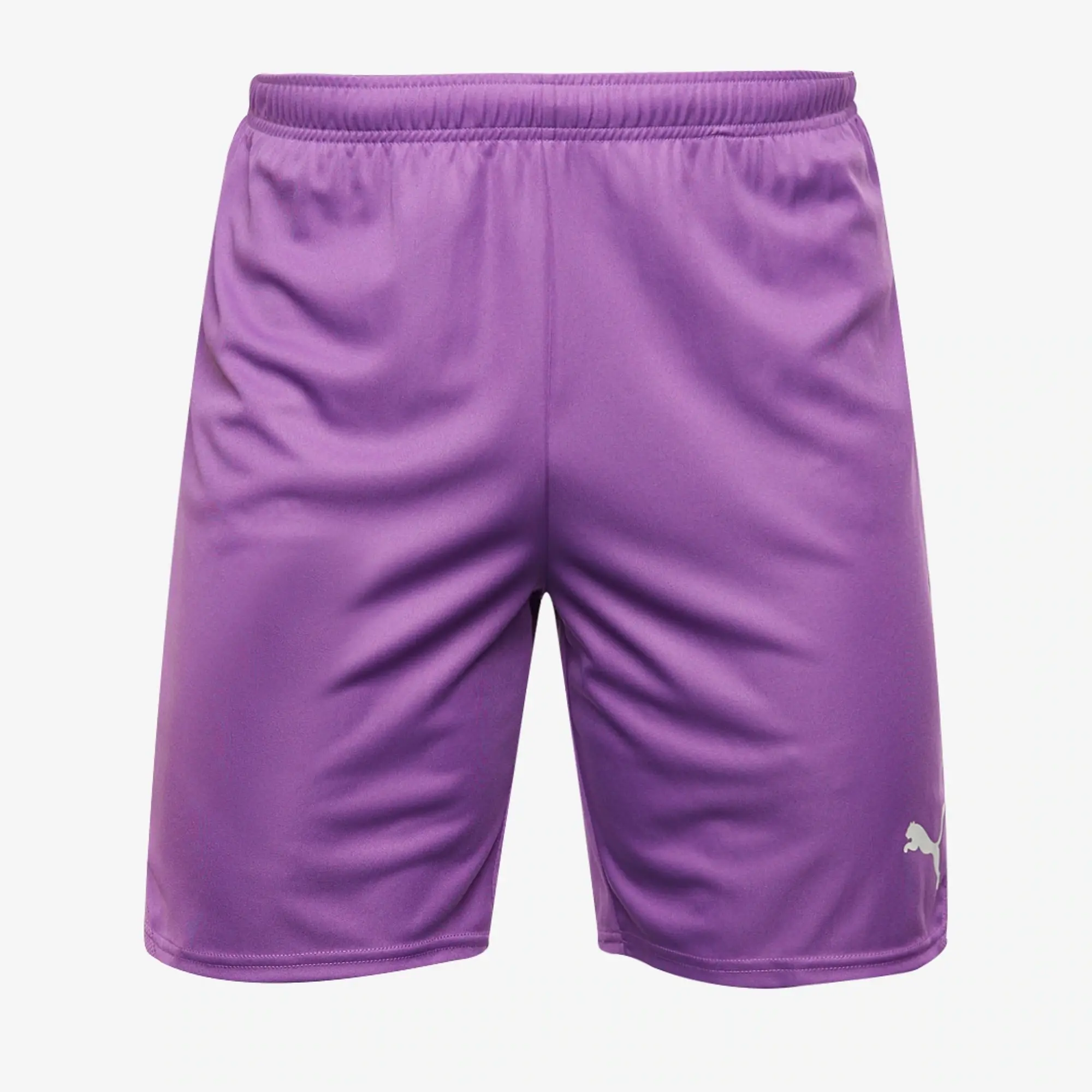 Puma teamGOAL 24 Shorts