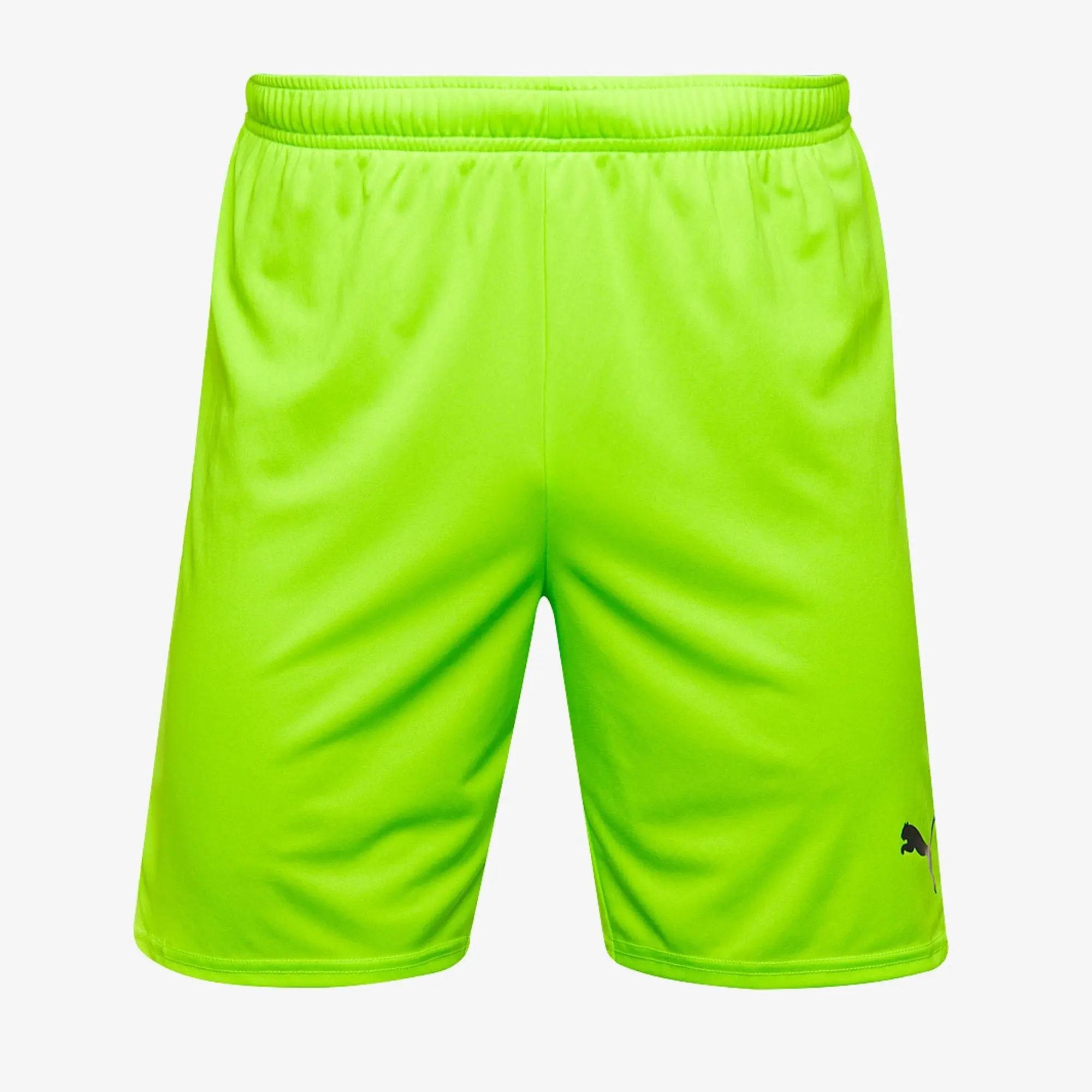 Puma teamGOAL 24 Shorts