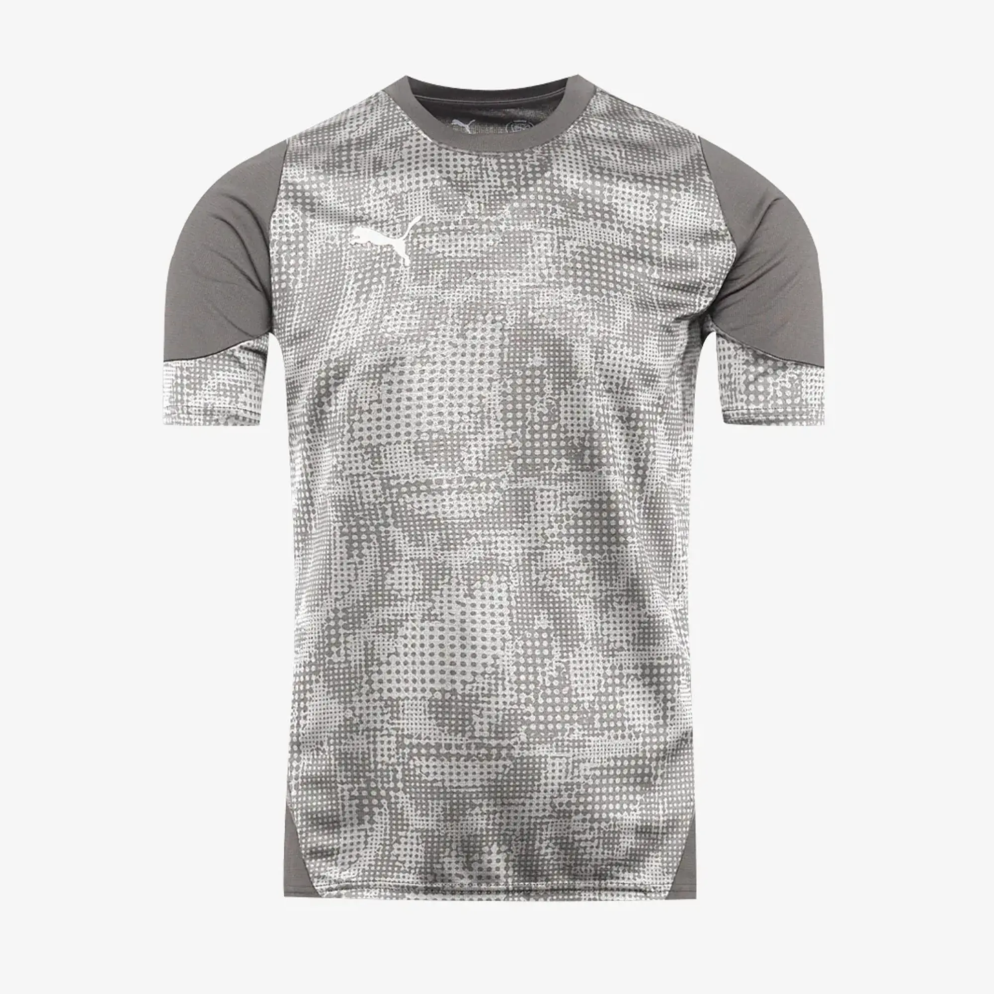 Puma teamCUP 25 Slim SS Training Shirt