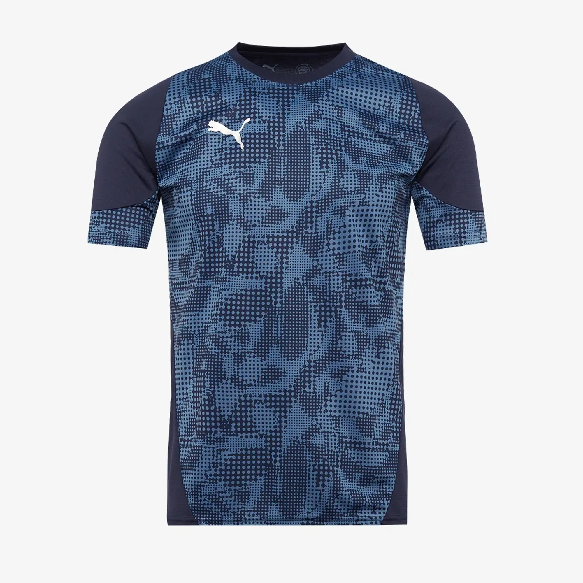 Puma teamCUP 25 Slim SS Training Shirt