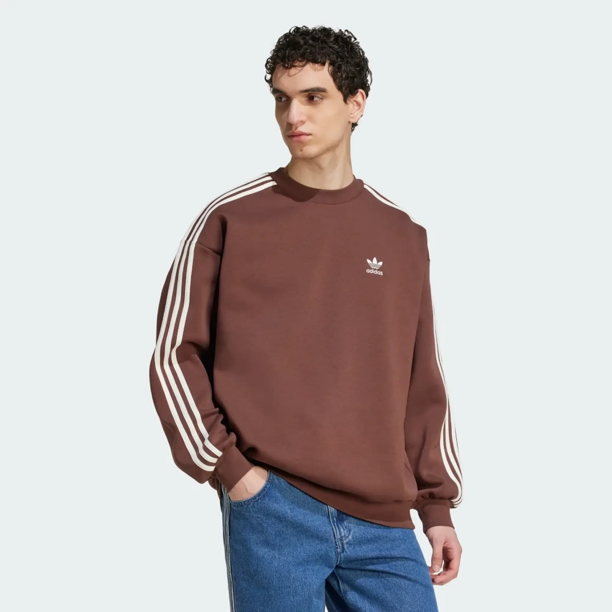 adidas Adicolor Oversized Crew Sweatshirt