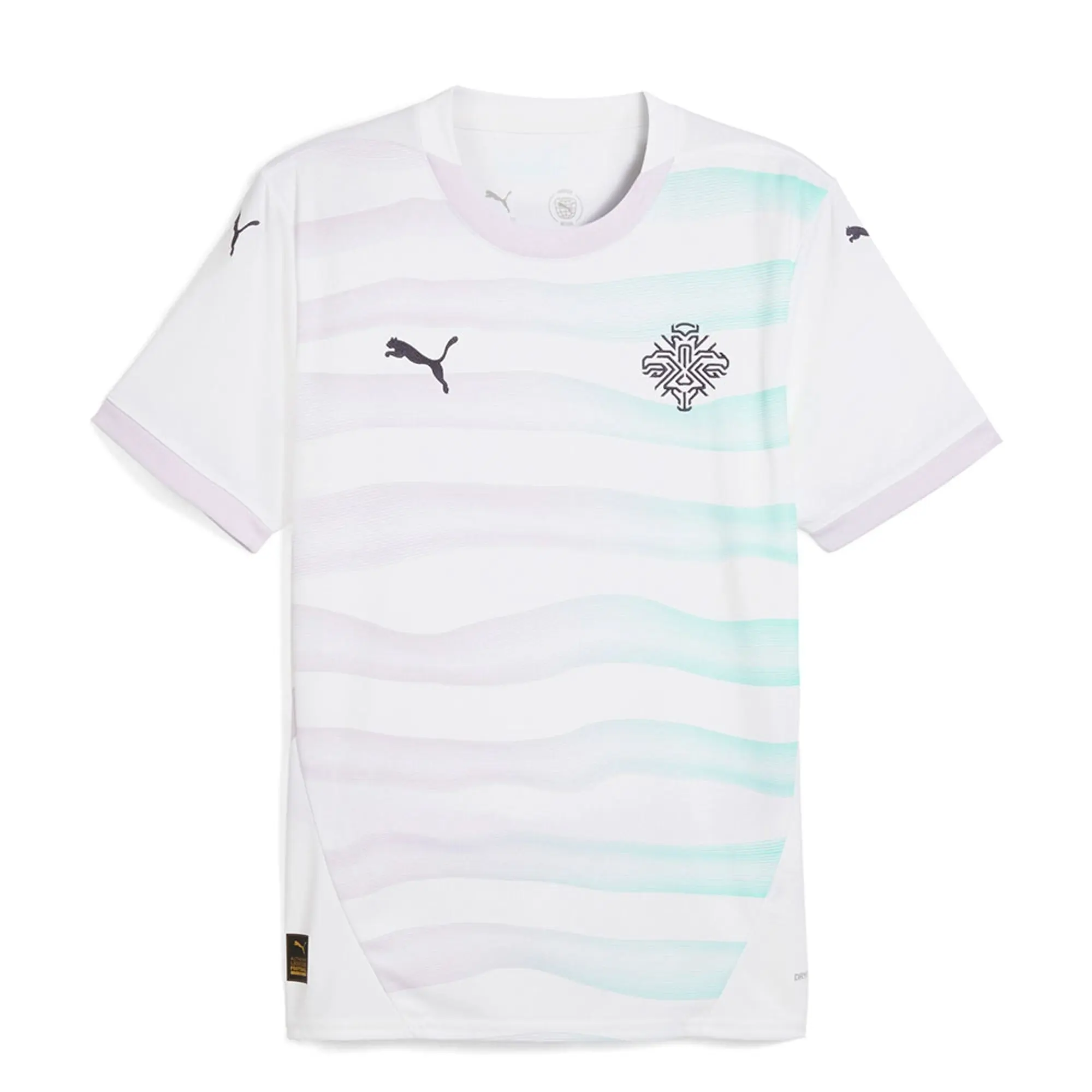 Puma Iceland 24/25 Replica Away Short Sleeve T-shirt