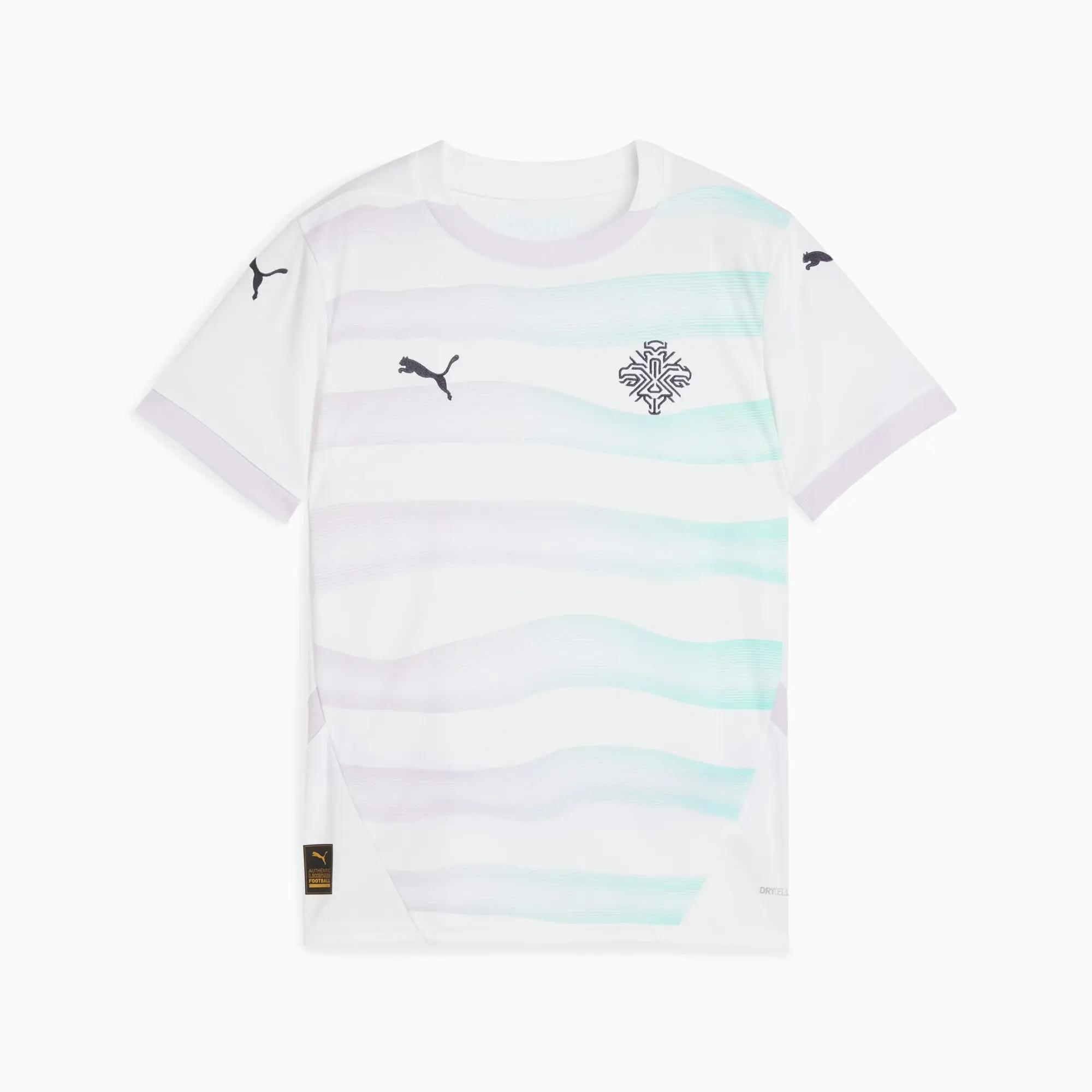 PUMA Iceland Women's Team 2025 Away Jersey Youth, Dark Blue, size 11-12 Youth