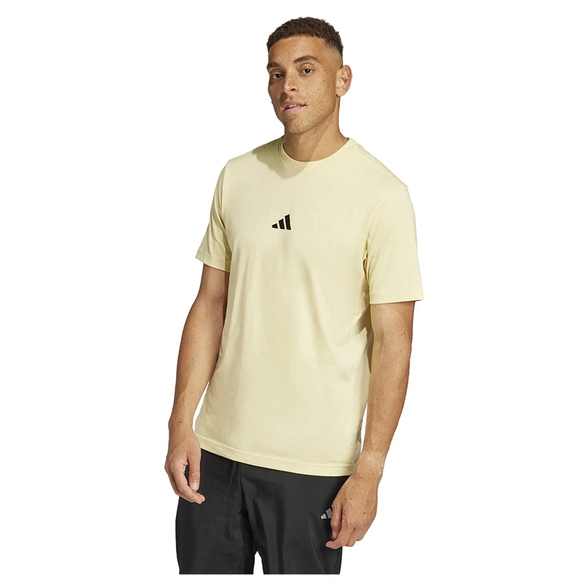 Adidas Essentials Small Logo Single Jersey Short Sleeve T-shirt