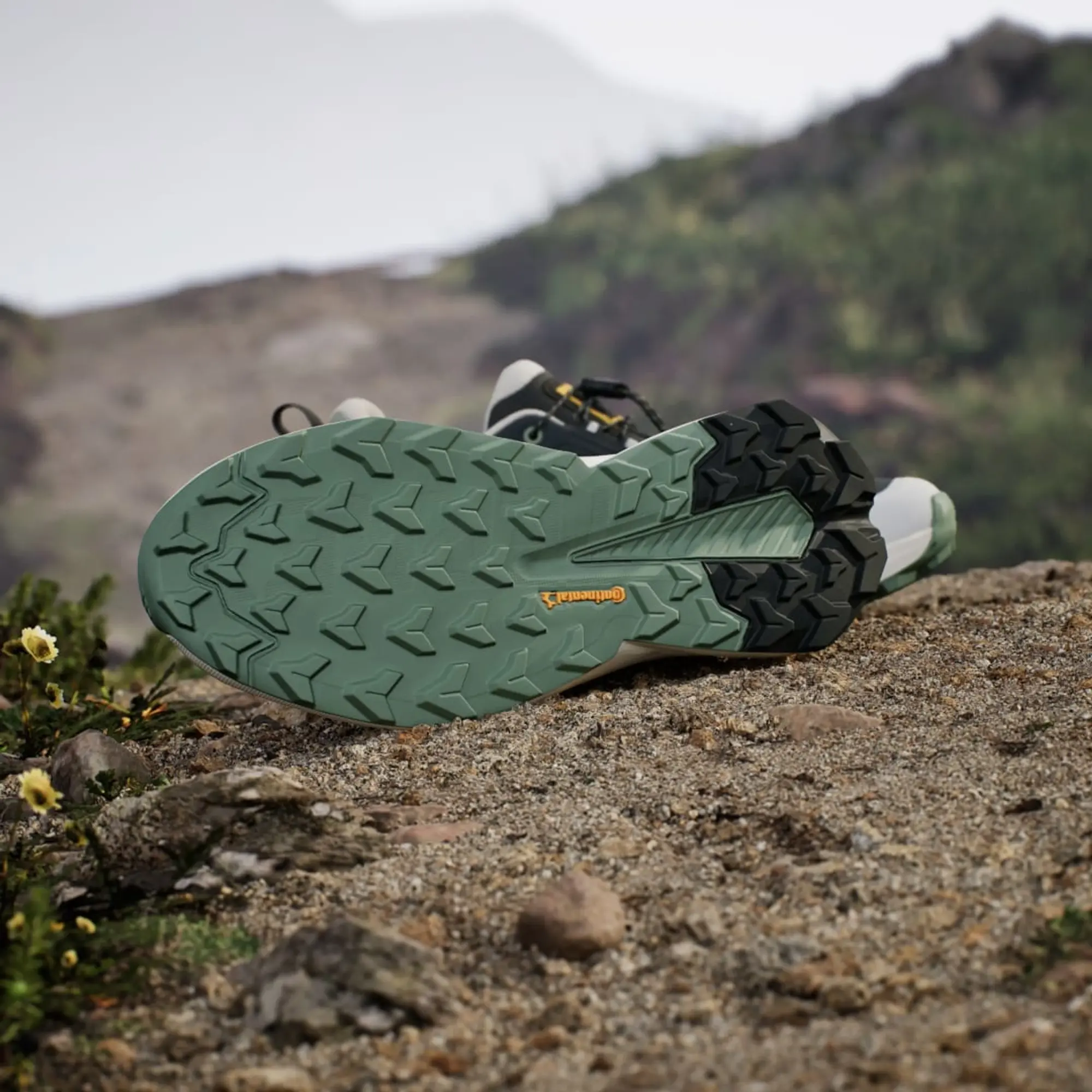 adidas ADIDAS NATIONAL GEOGRAPHIC TERREX TRAILMAKER 2 GORE-TEX HIKING SHOES