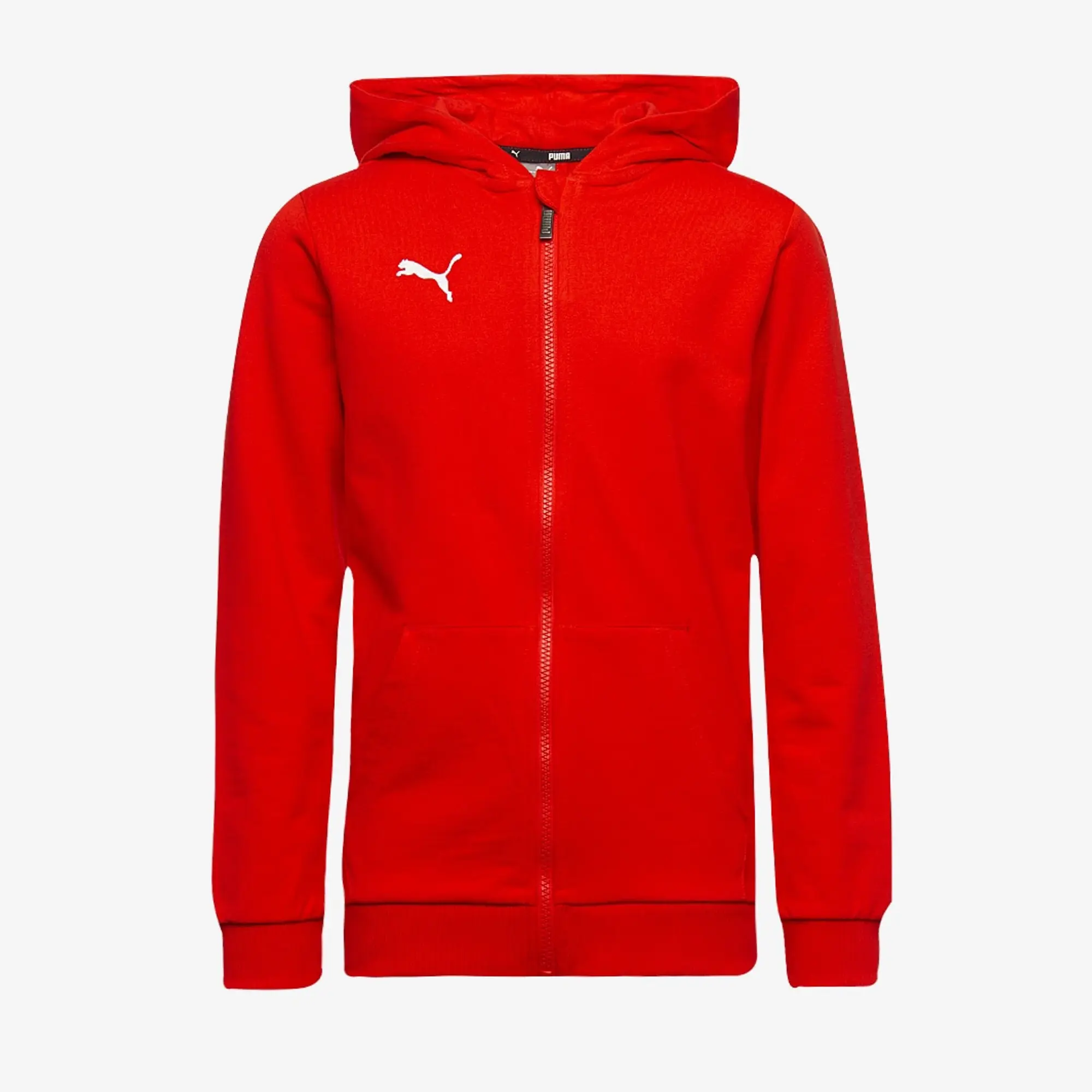 Puma Junior teamGOAL 25 Casuals Hooded Jacket