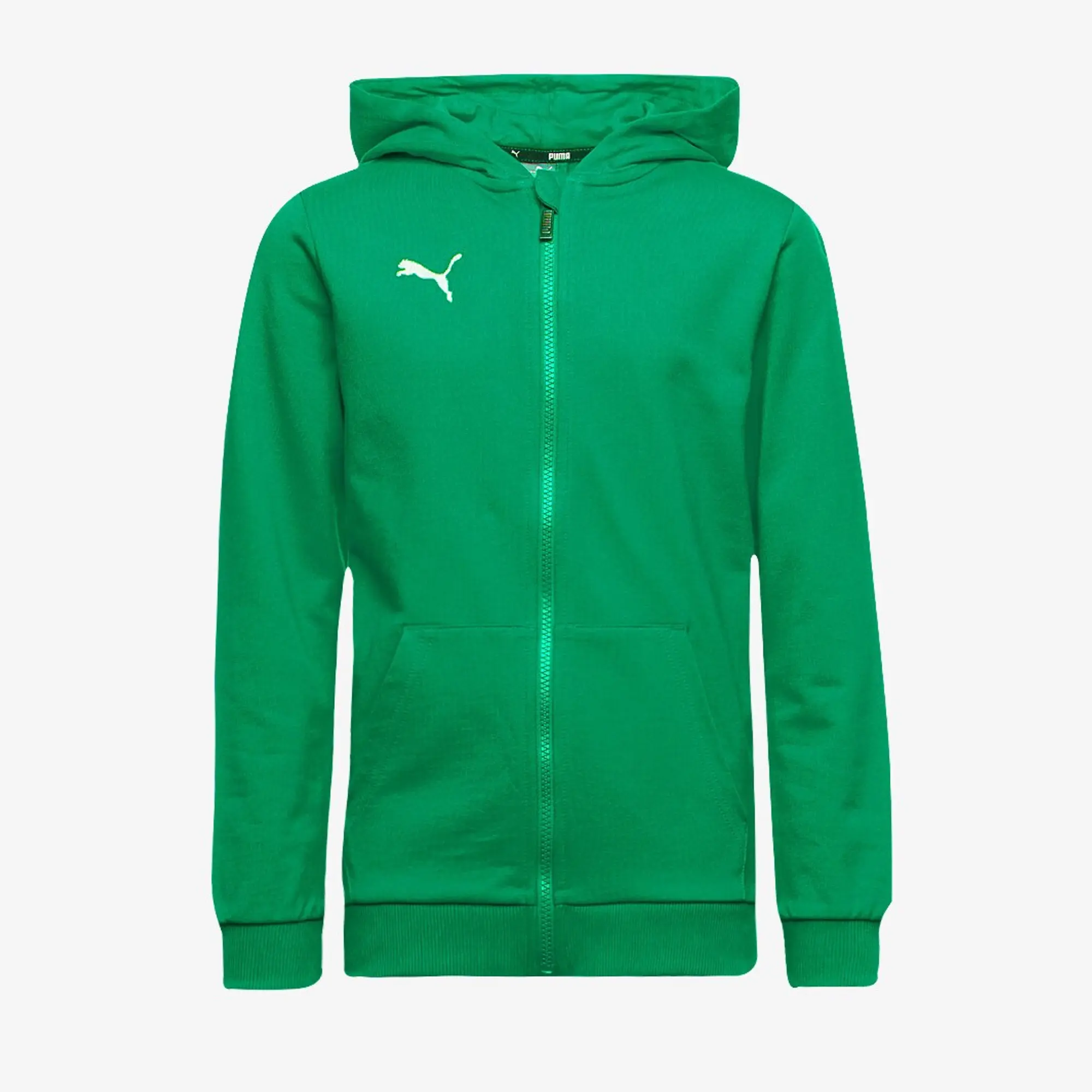 Puma Junior teamGOAL 25 Casuals Hooded Jacket