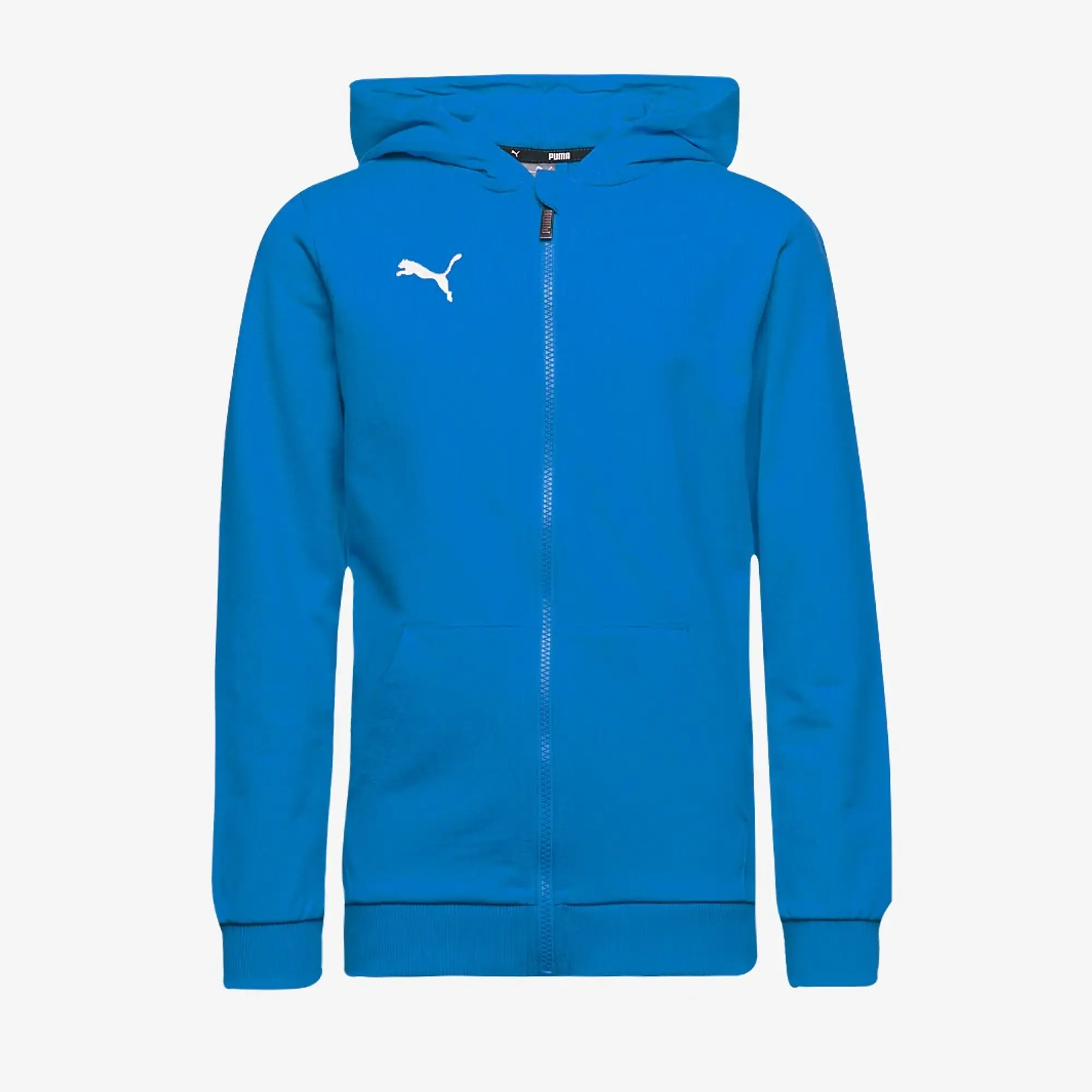 Puma Junior teamGOAL 25 Casuals Hooded Jacket